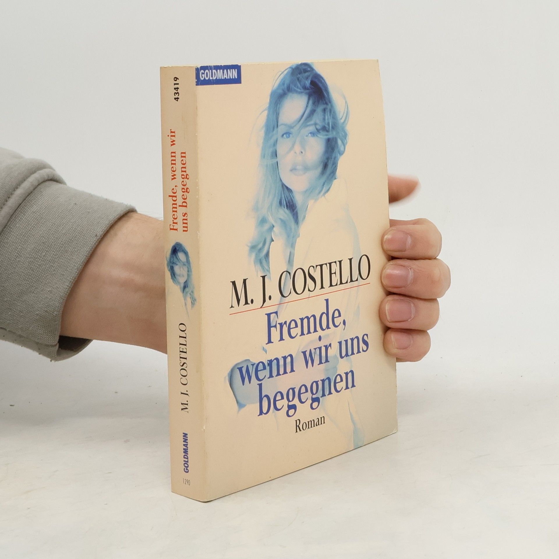 Matthew J. Costello Fremde, wenn wir uns begegnen.