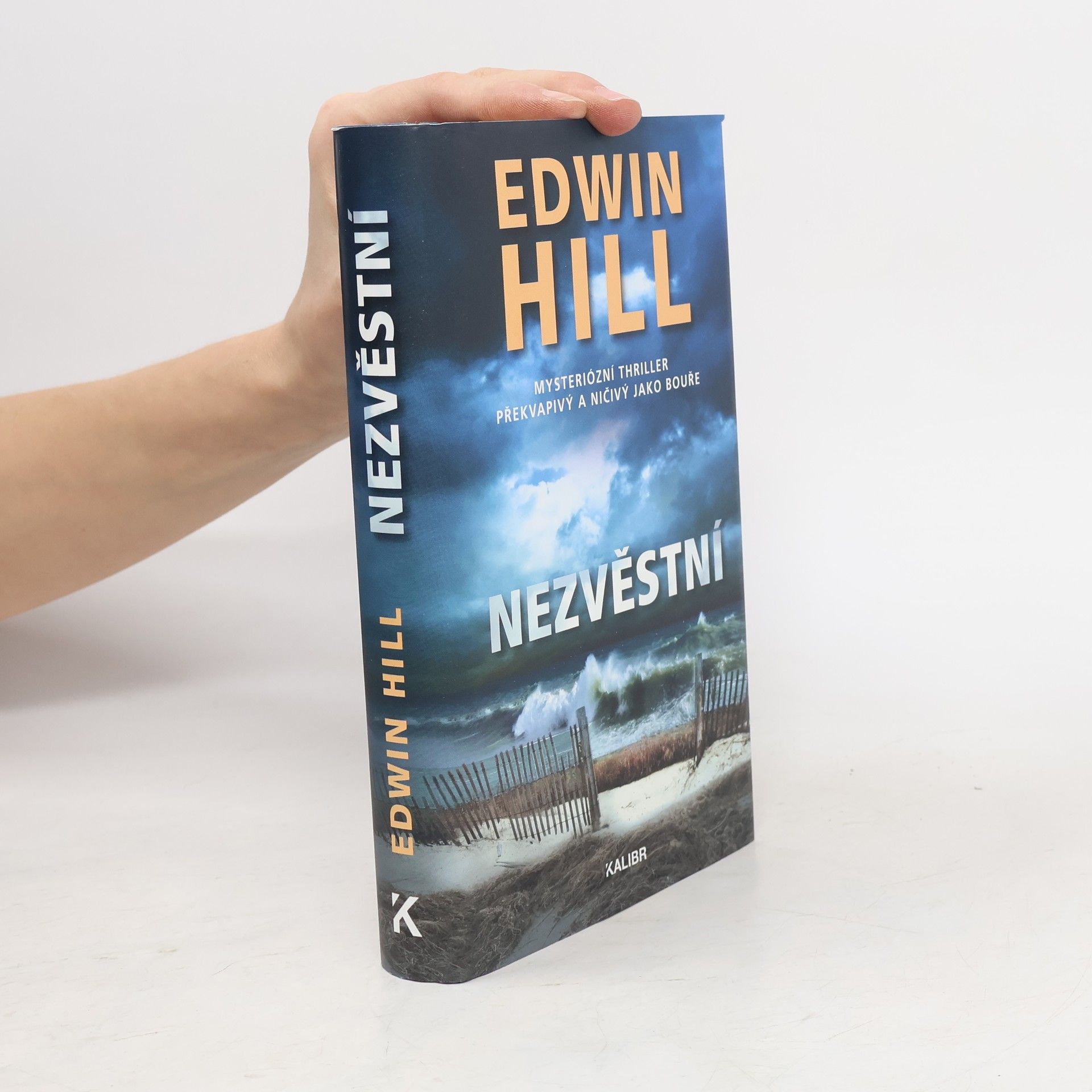 Edwin Hill Nezvěstní