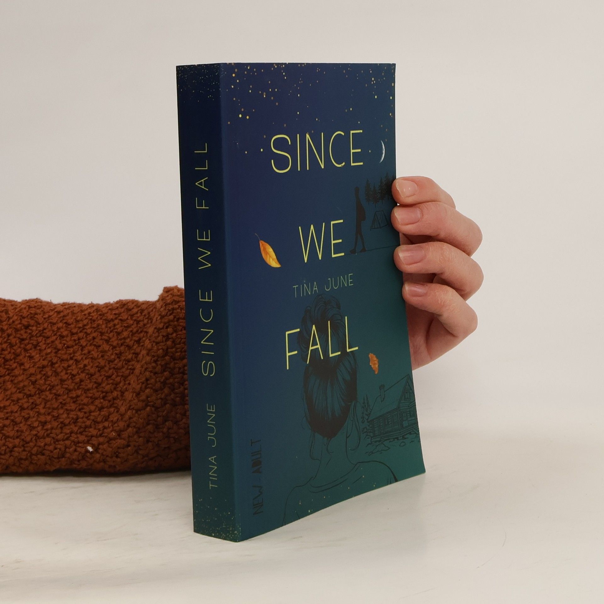 Tina June Rivershore Reihe: Since We Fall