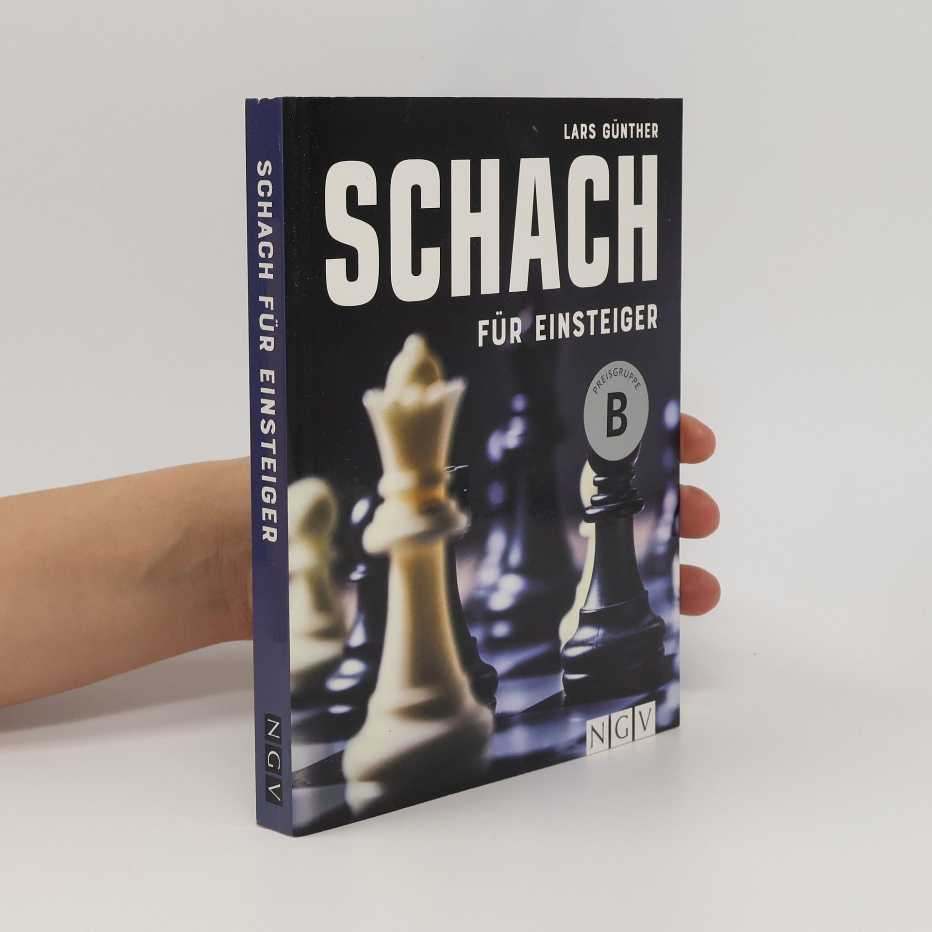 Schach für Einsteiger
