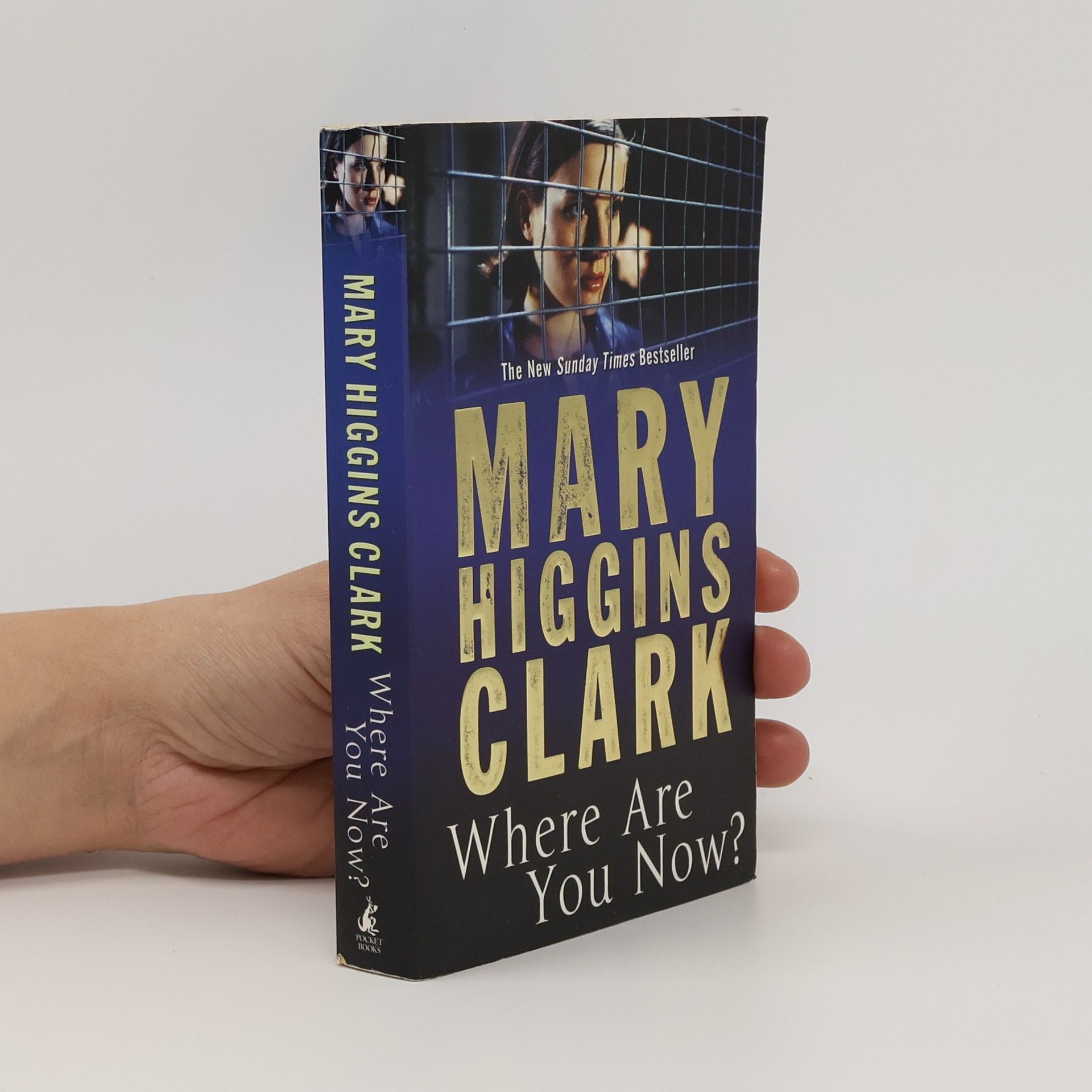 Mary Higginsová Clarková Where are You Now?