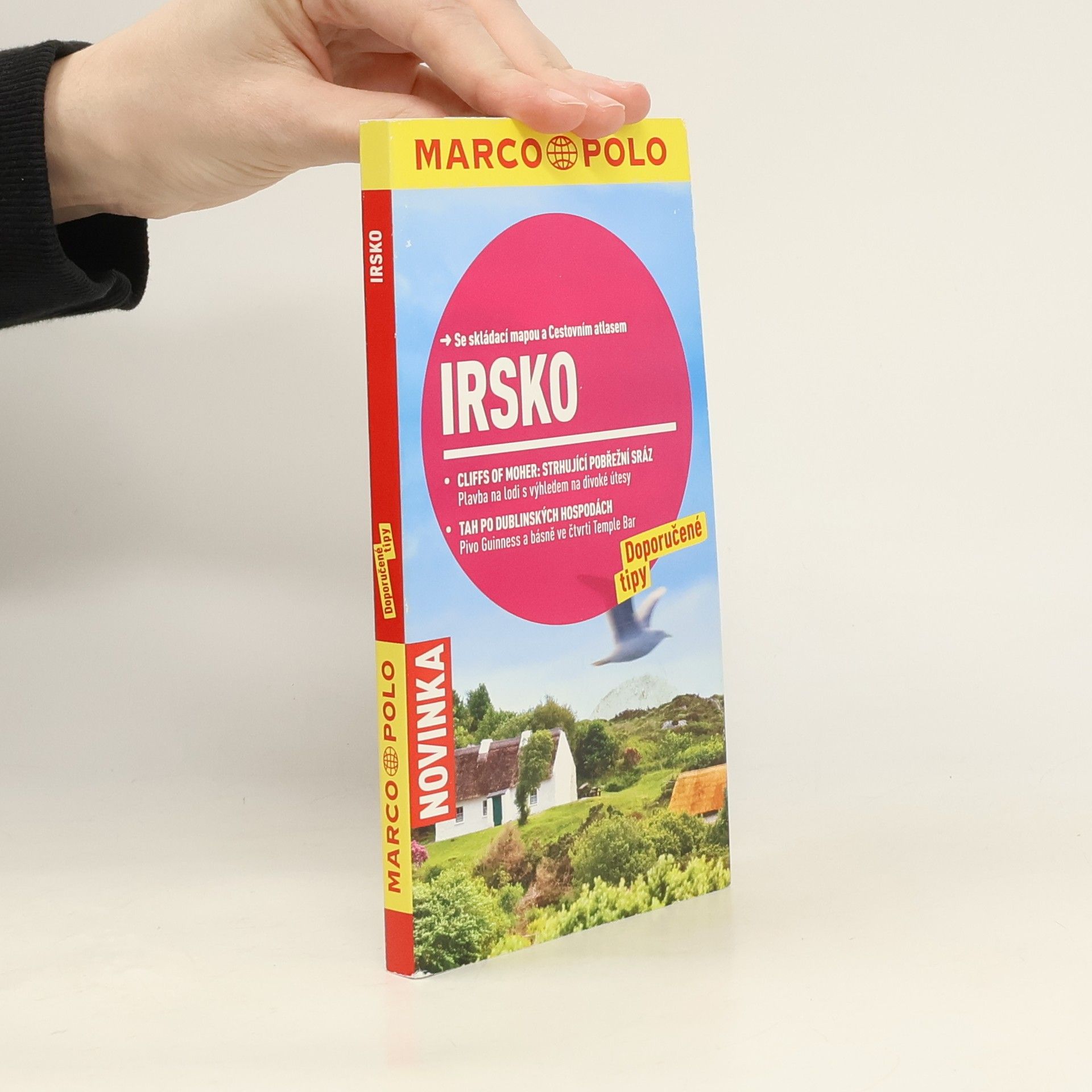 Manfred Wöbcke Irsko