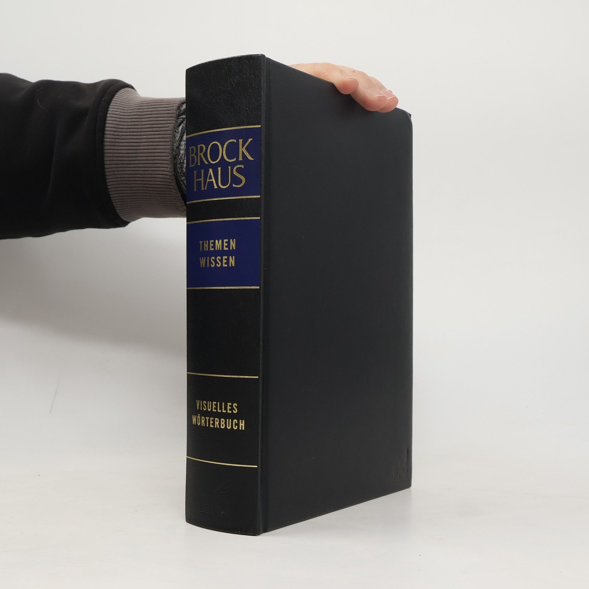 Kolektív autorov Brockhaus Themenwissen Visuelles Wörterbuch