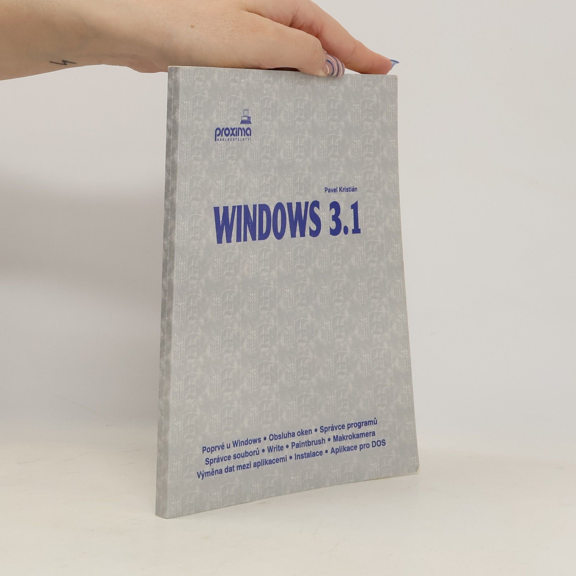 Kolektív autorov Windows 3.1