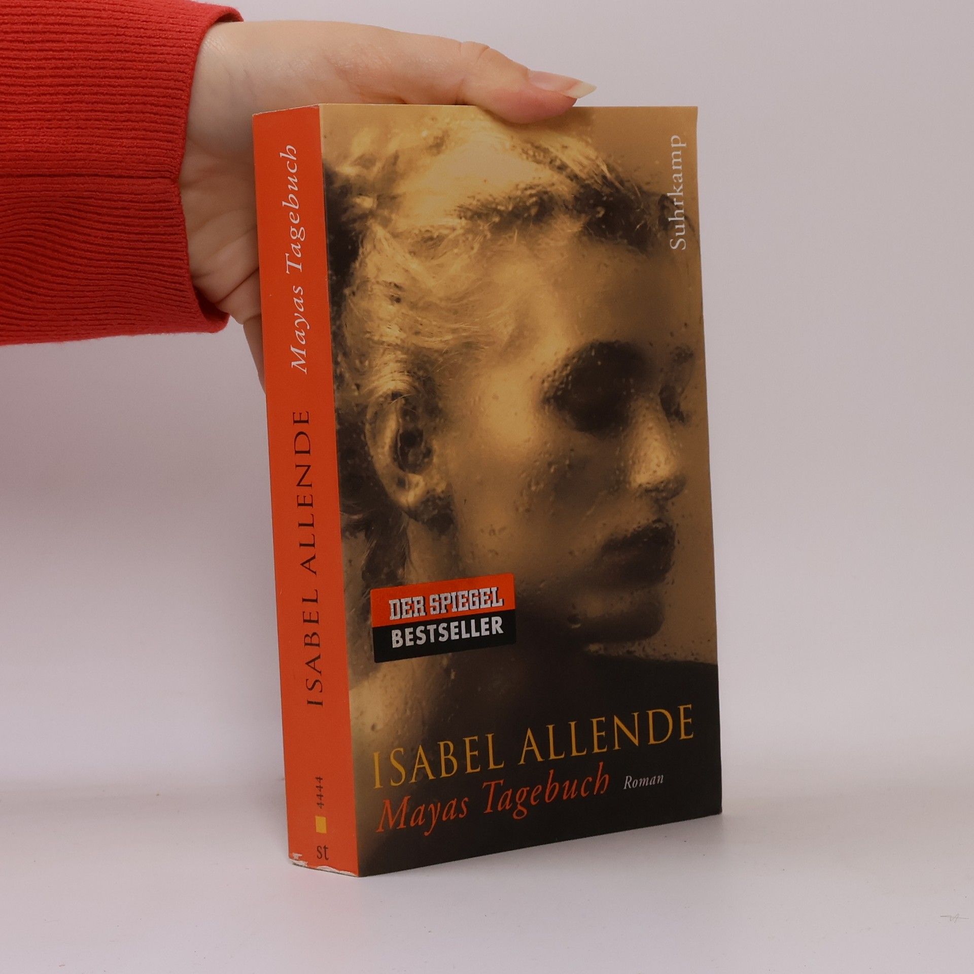 Isabel Allende Mayas Tagebuch