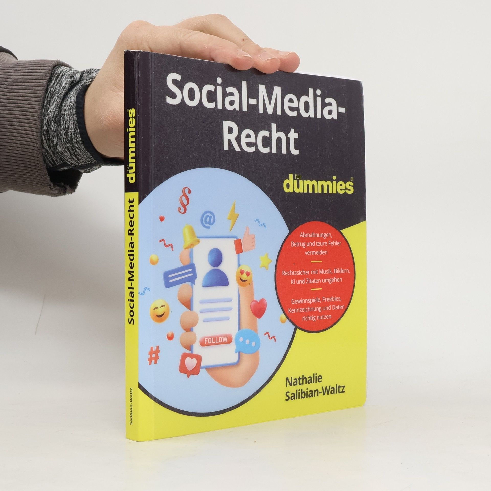 Nathalie Salibian-Waltz Social Media Recht für Dummies