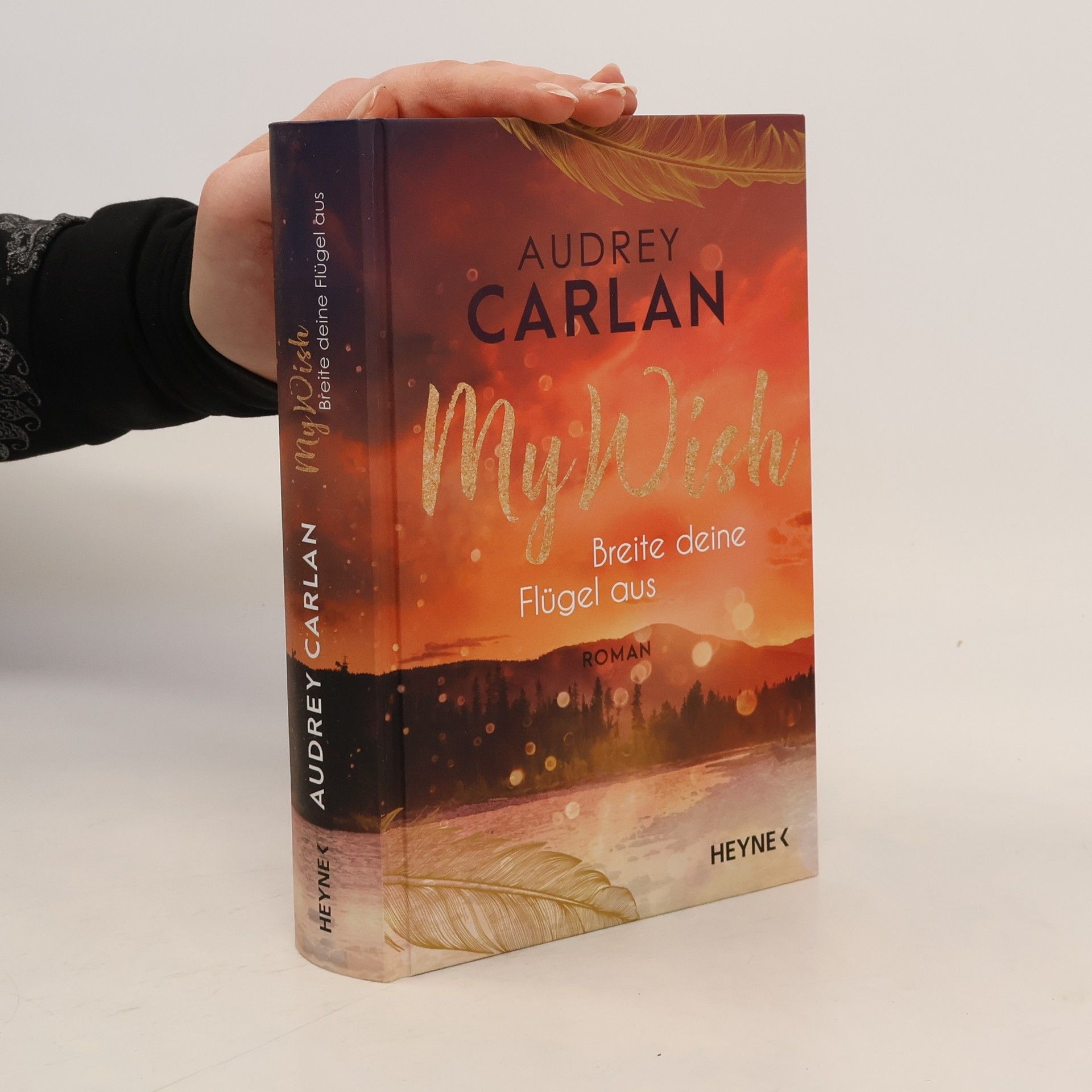 Audrey Carlan My Wish