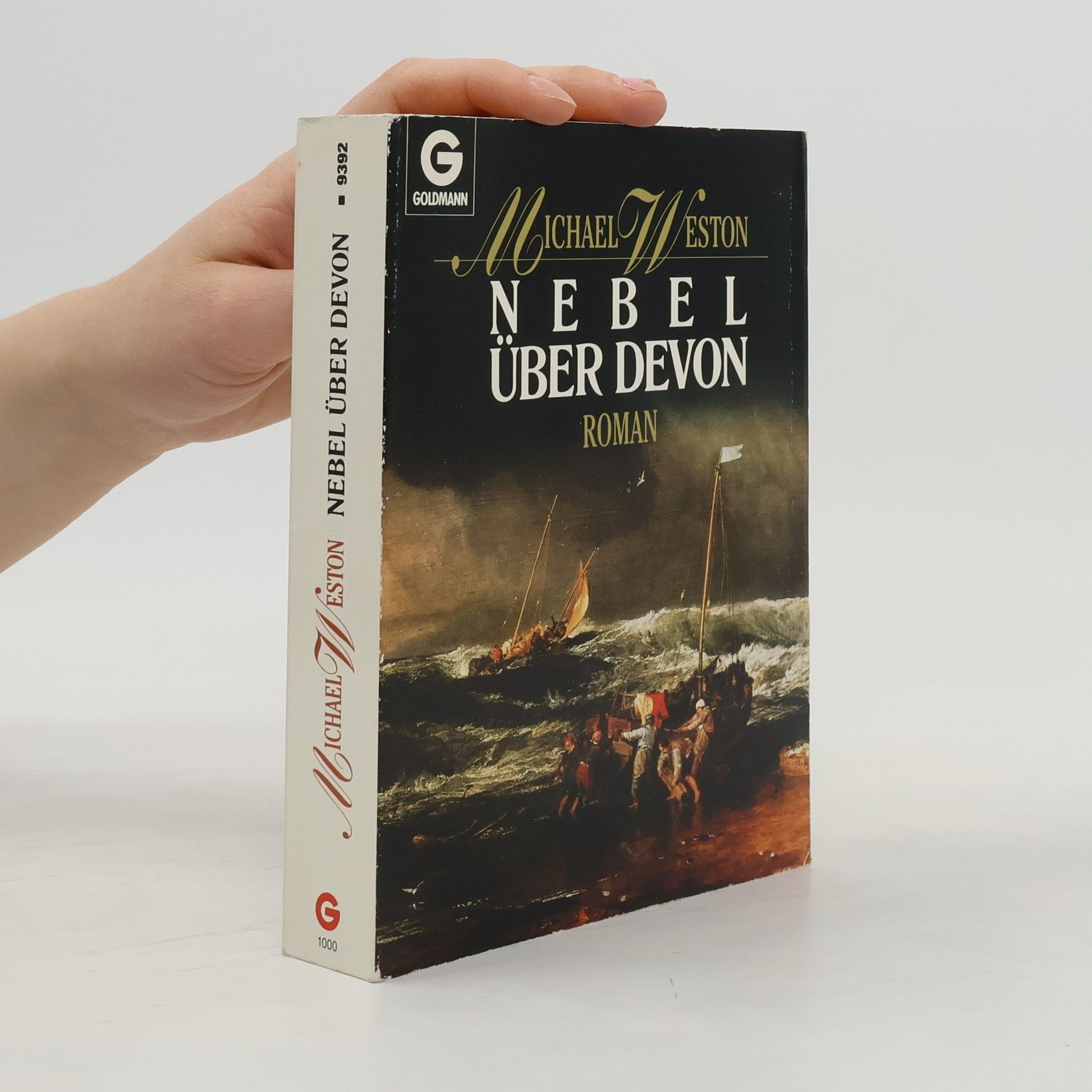 Michael Weston Nebel über Devon