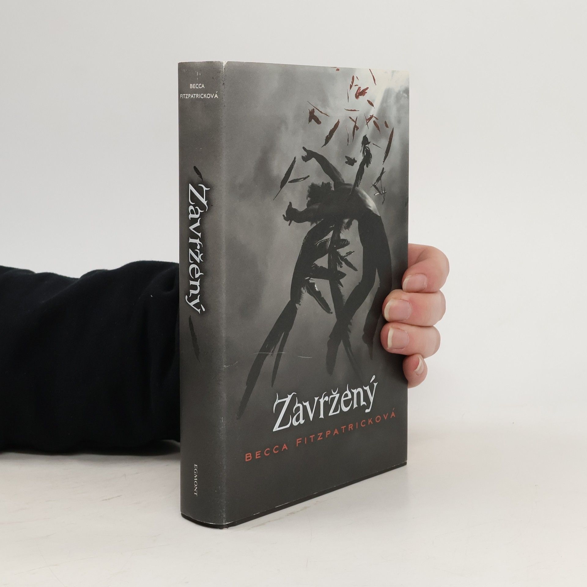 Becca Fitzpatricková Zavržený