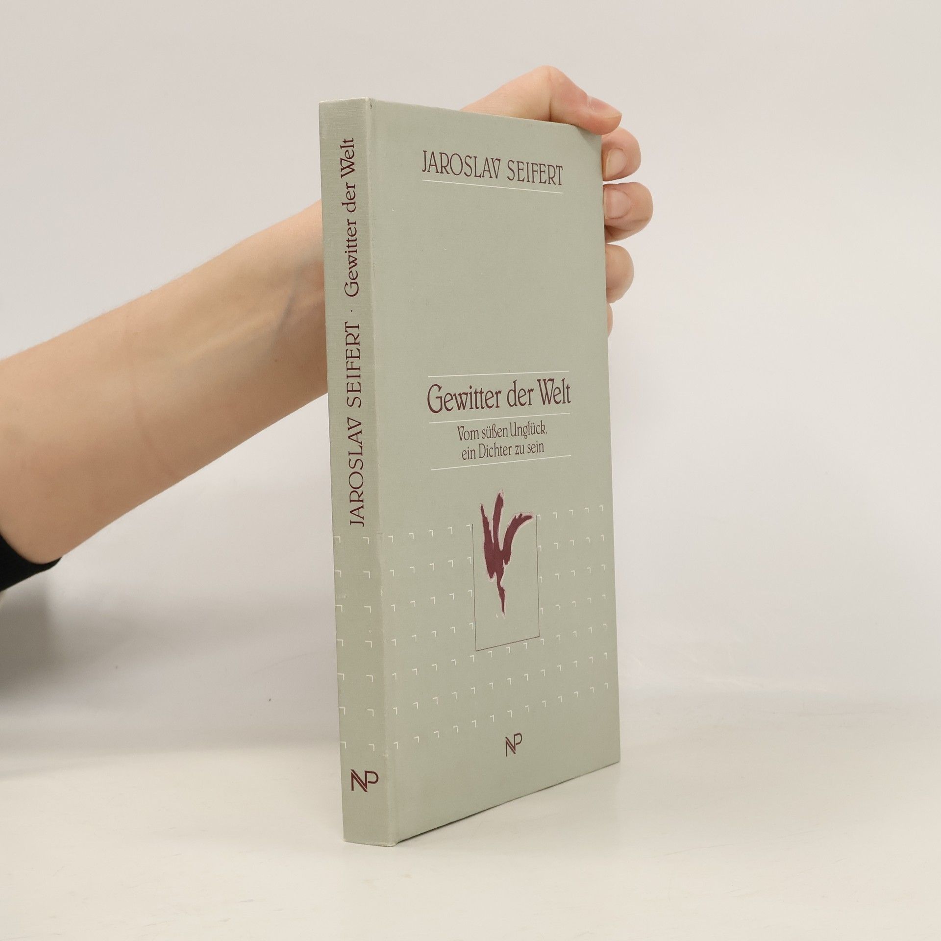 Gewitter der Welt : vom süssen Unglück, ein Dichter zu sein