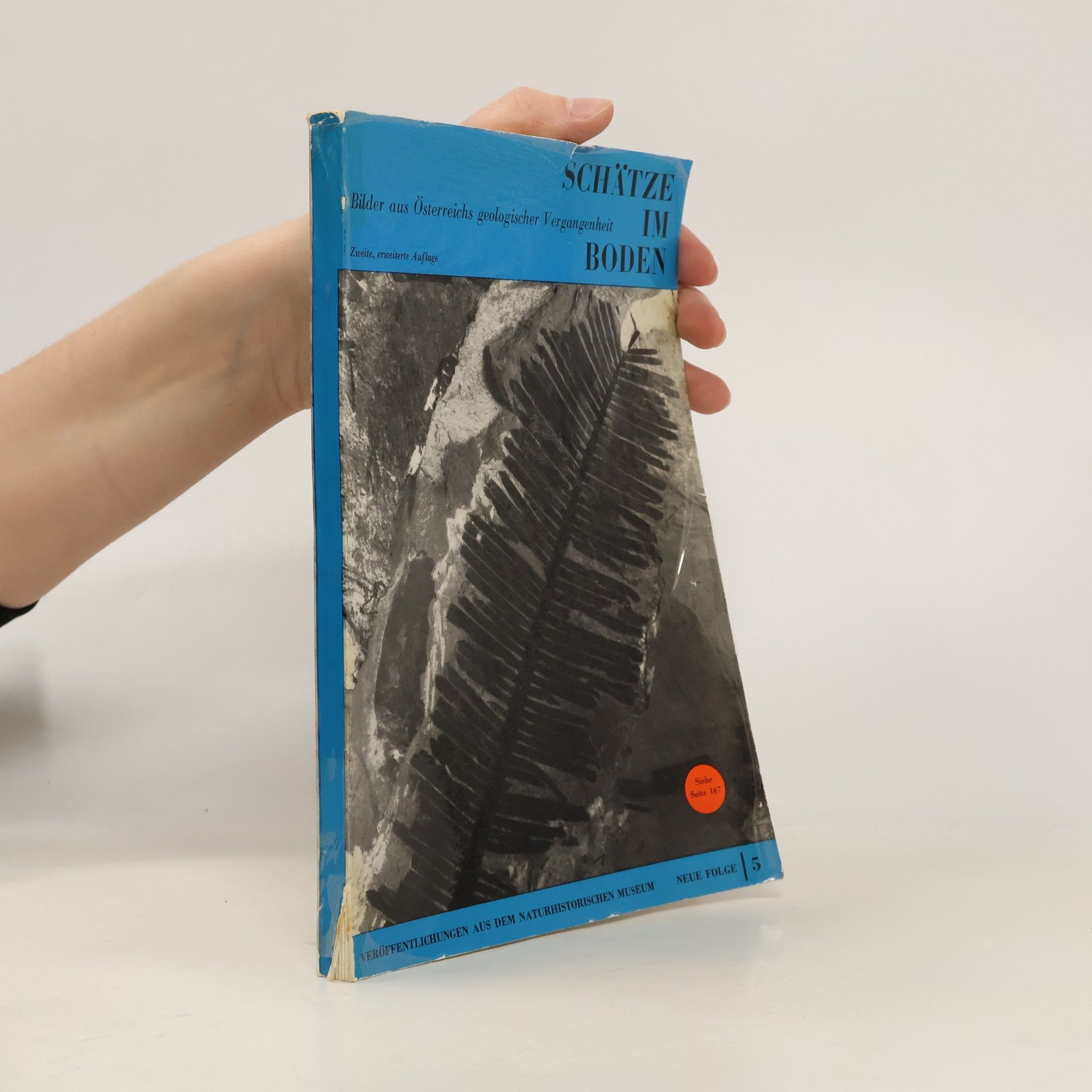 Autorenkollektiv Schätze im Boden