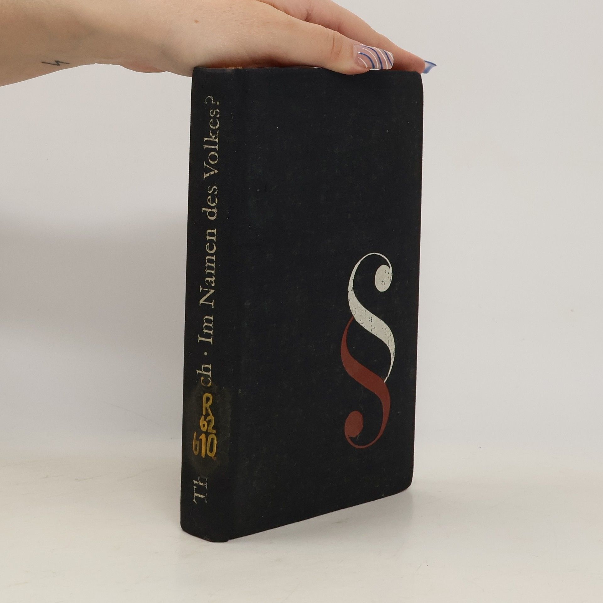 Theo Harych Im Namen des Volkes?