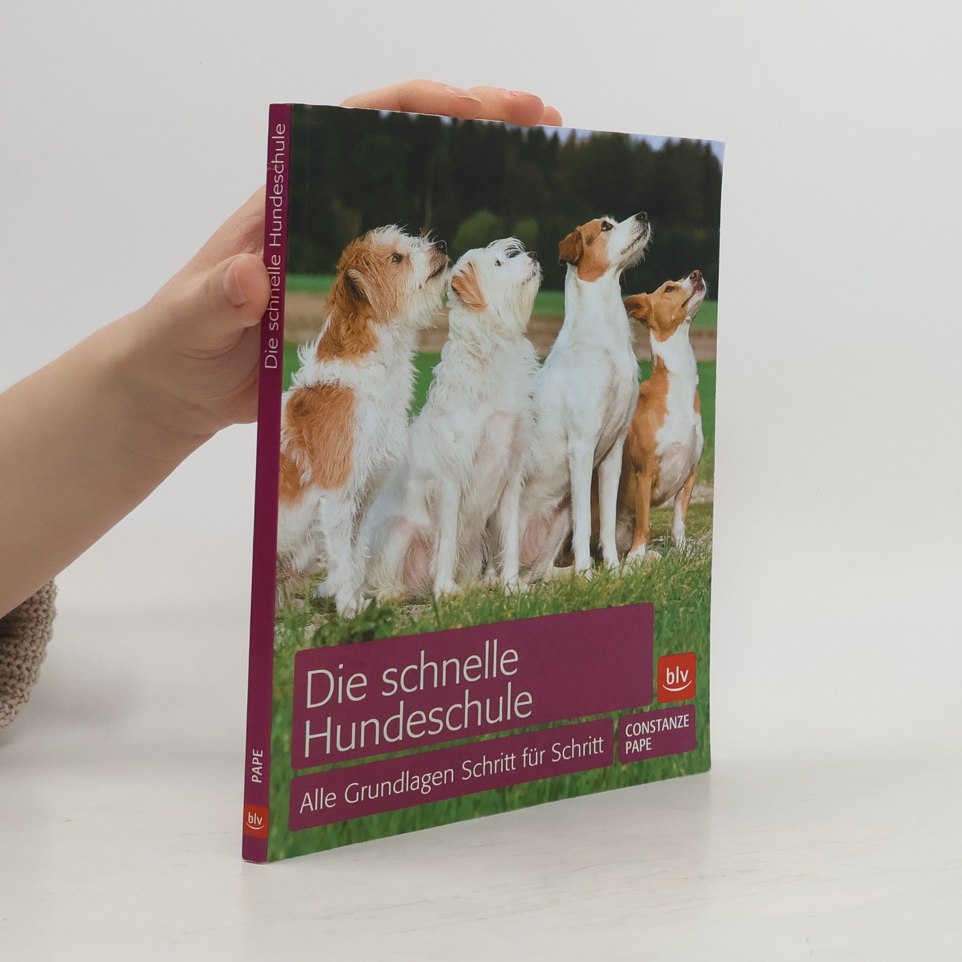 Die schnelle Hundeschule