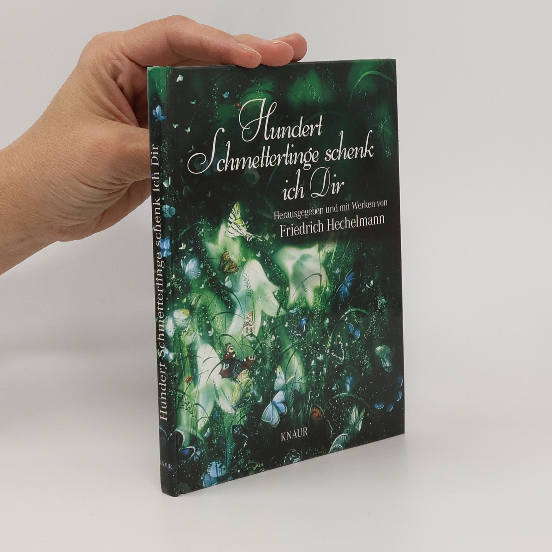 Friedrich Hechelmann Hundert Schmetterlinge schenk ich dir. Herausgegeben und mit Werken von Friedrich Hechelmann