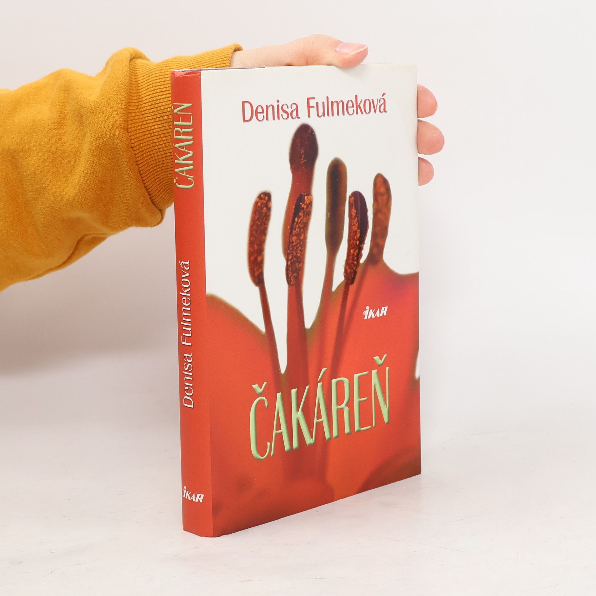 Denisa Fulmeková Čakáreň