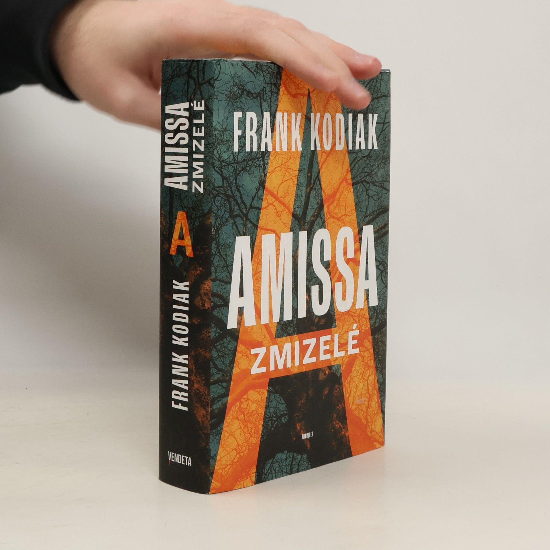 Hendrik Winter Amissa. Zmizelé