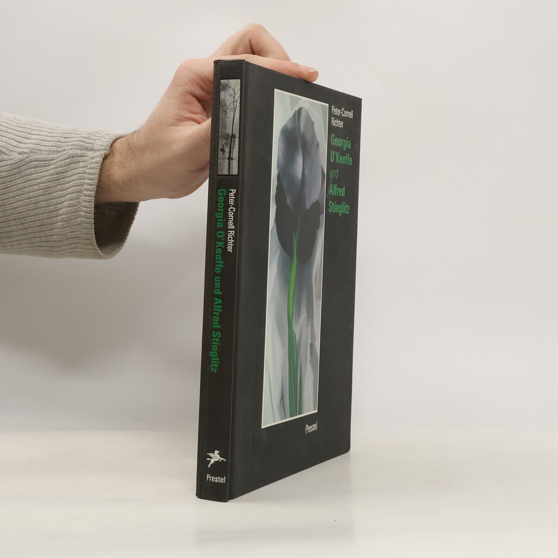 Peter Cornell Richter Georgia O'Keeffe und Alfred Stieglitz