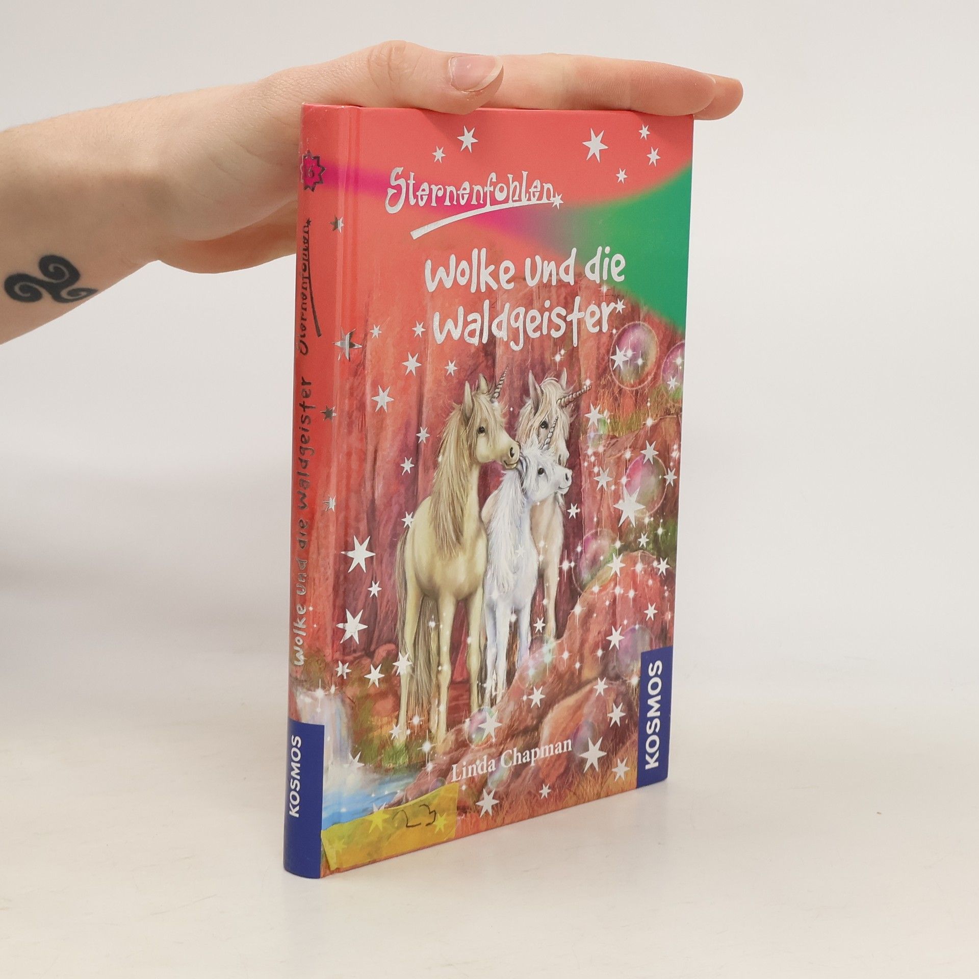Linda Chapman Sternenfohlen - Wolke und die Waldgeister