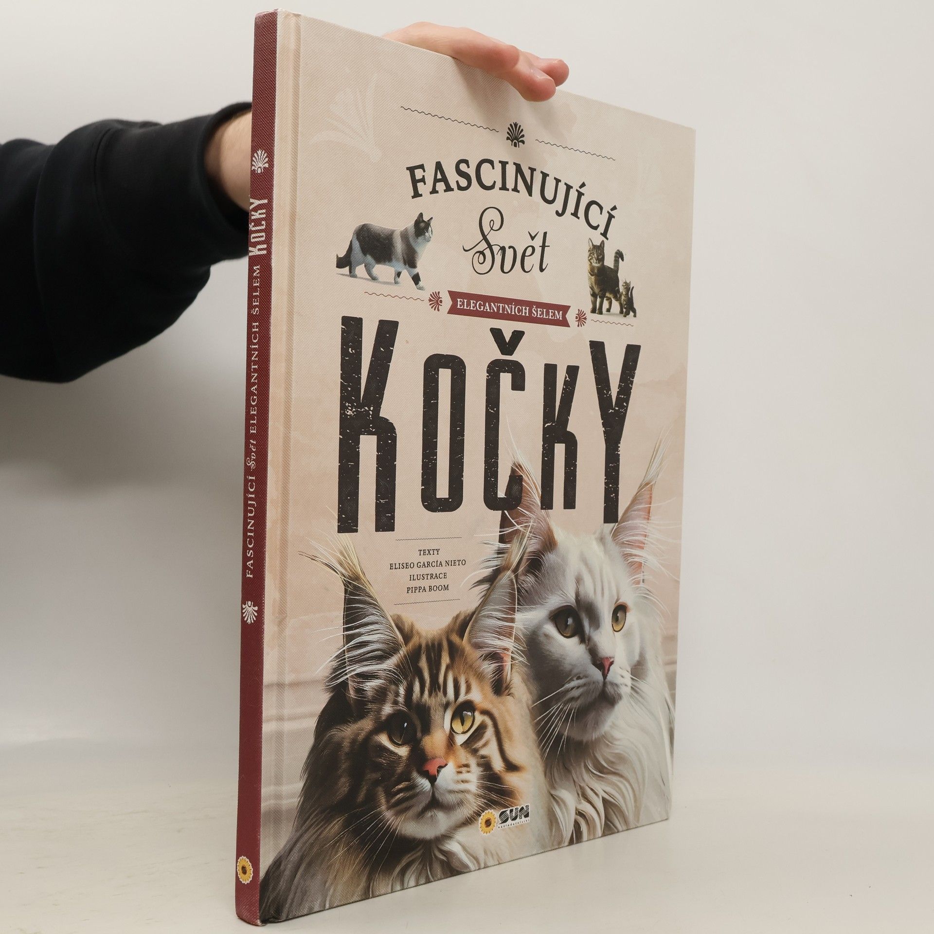 Eliseo García Nieto Fascinující svět elegantních šelem: Kočky