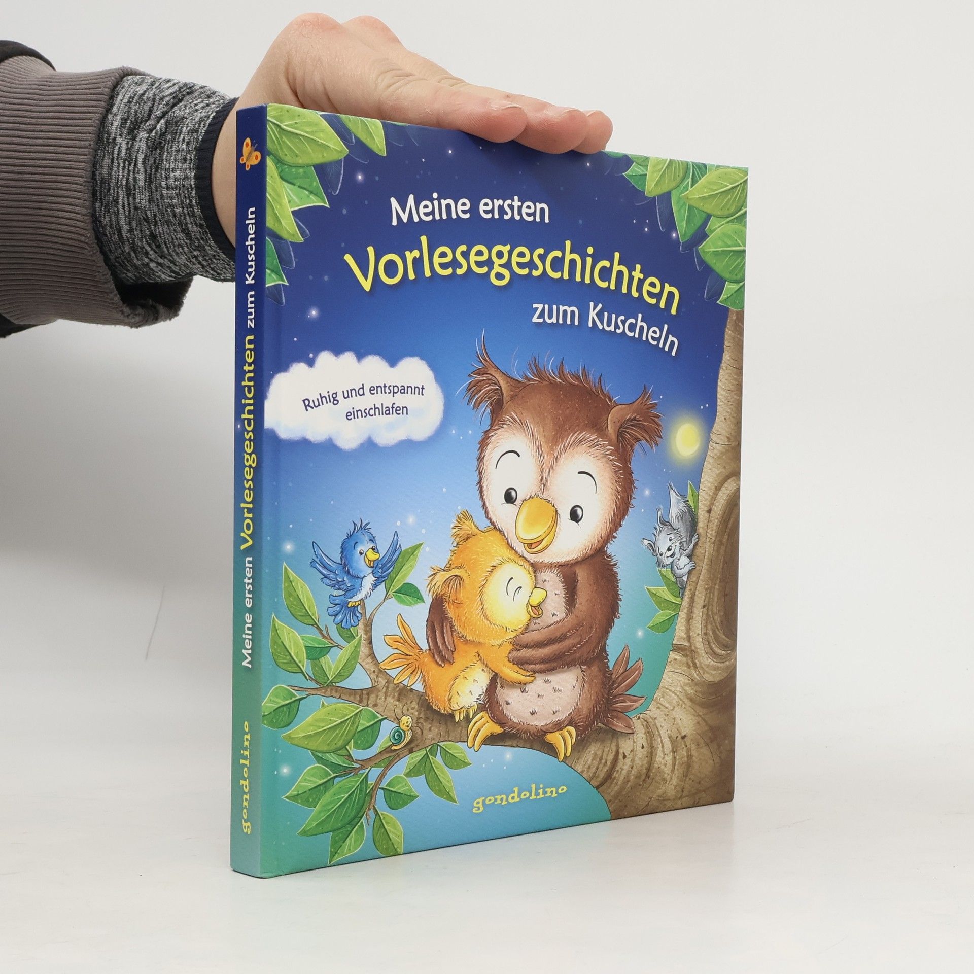 Meine ersten Vorlesegeschichten zum Kuscheln