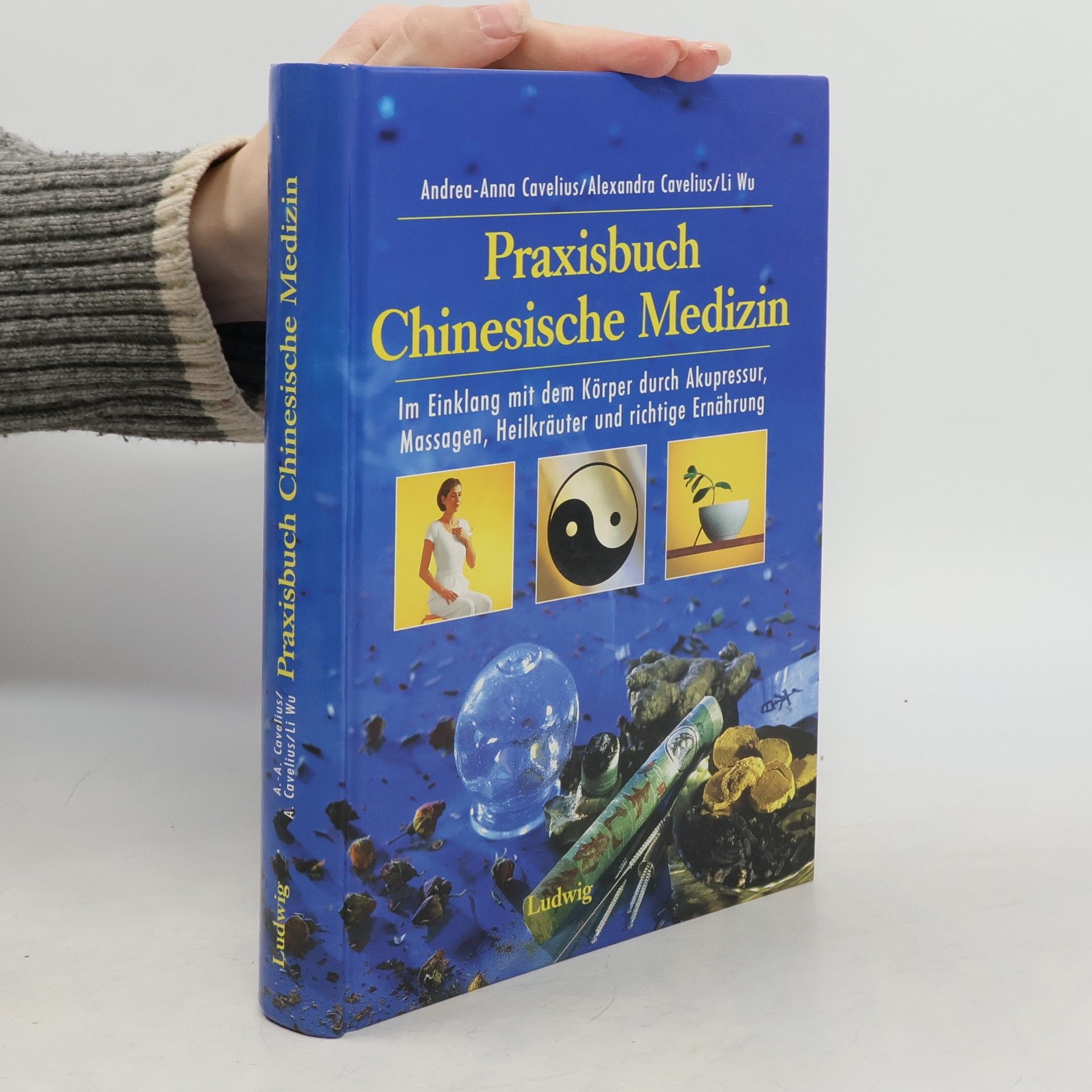 Praxisbuch chinesische Medizin