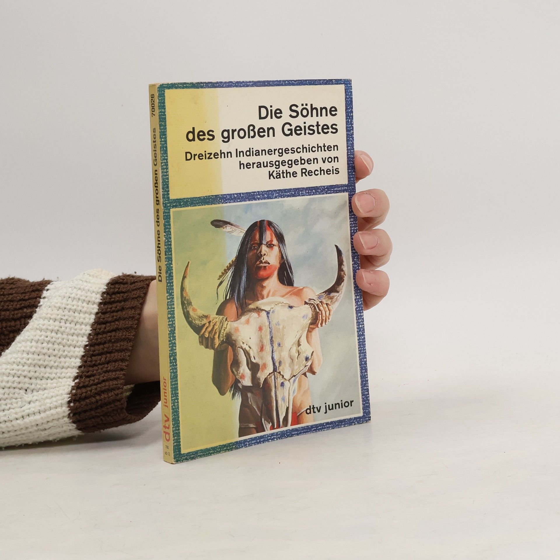 Käthe Recheis Die Söhne des Großen Geistes