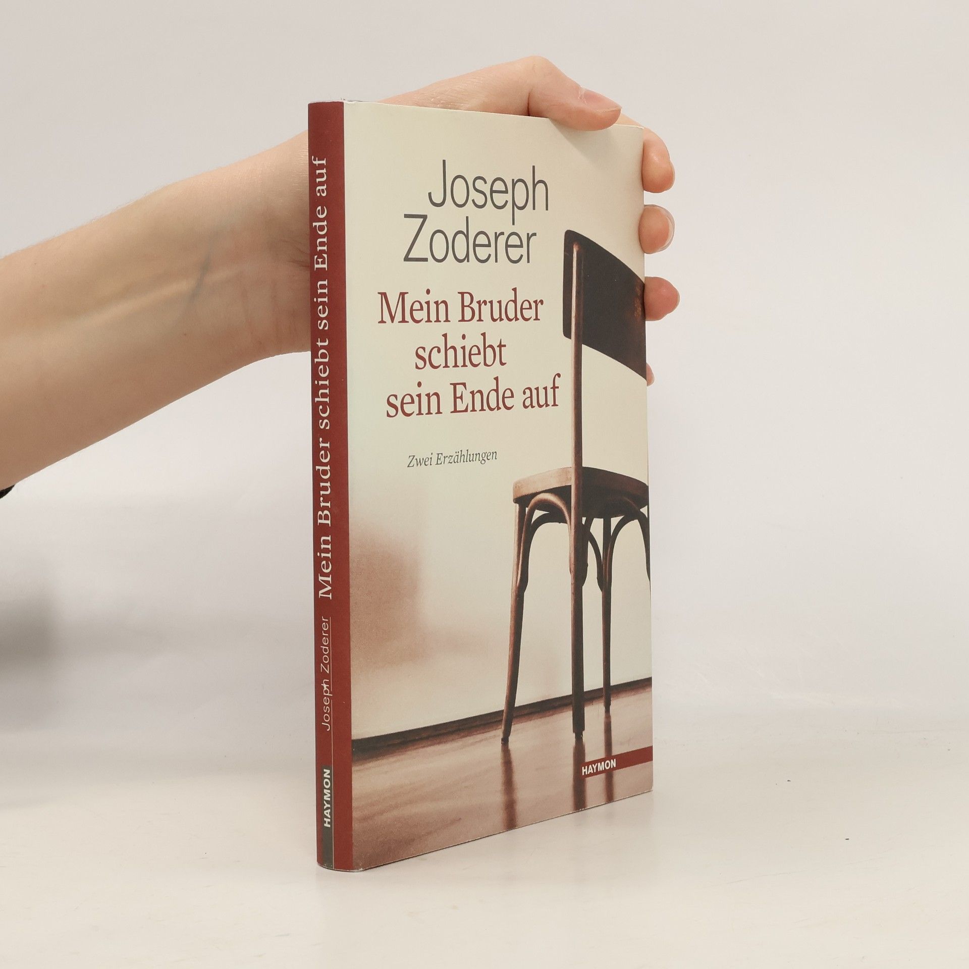 Joseph Zoderer Mein Bruder schiebt sein Ende auf