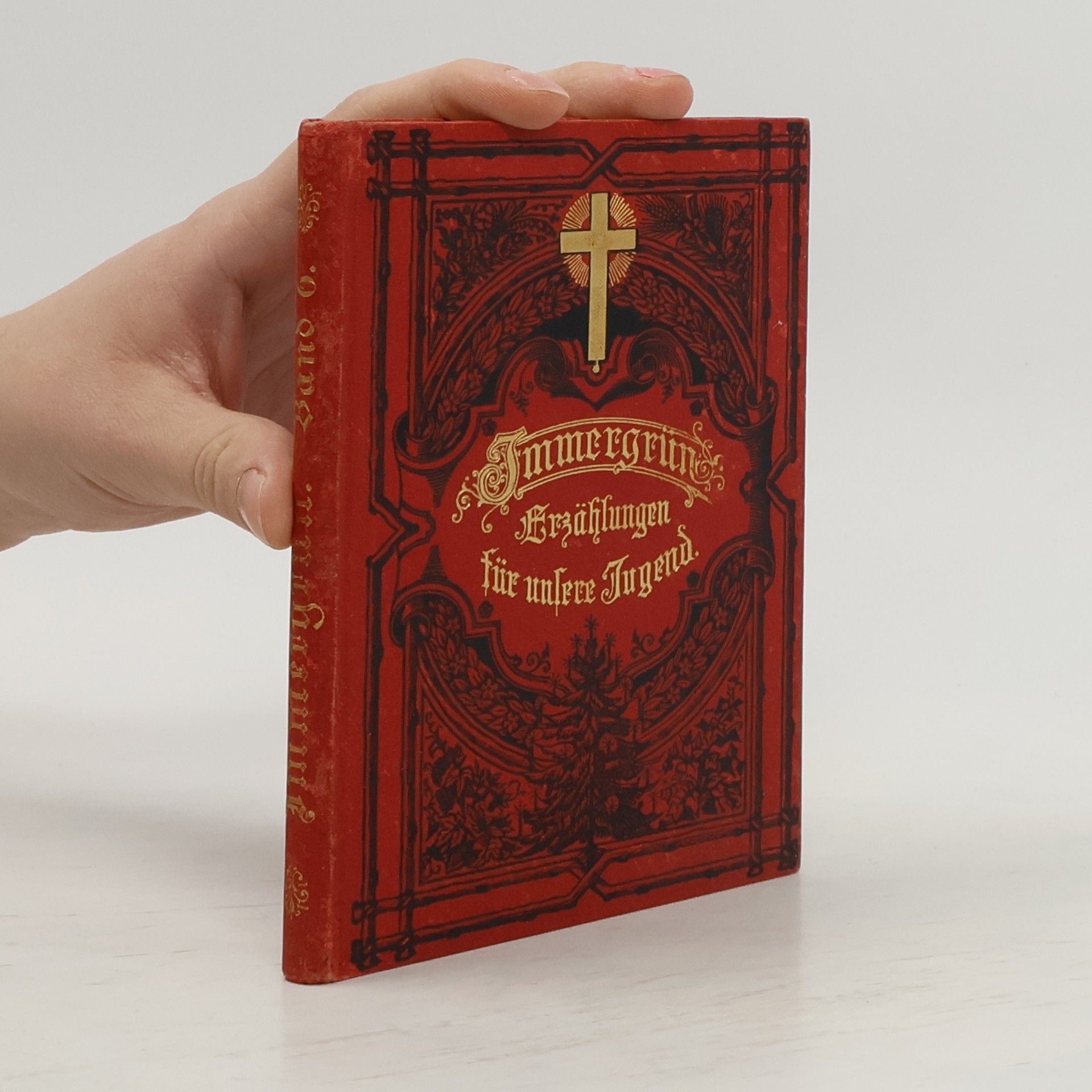 Collectif d'auteurs Immergrün VI