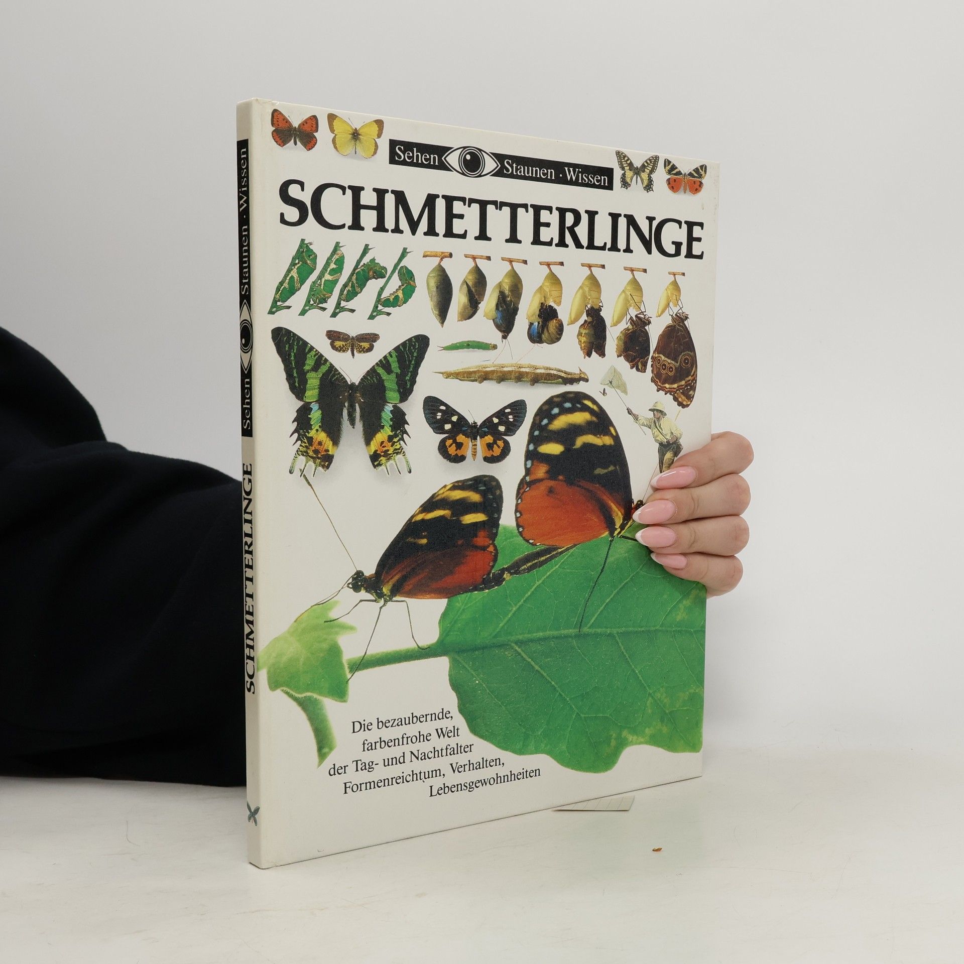 Schmetterlinge