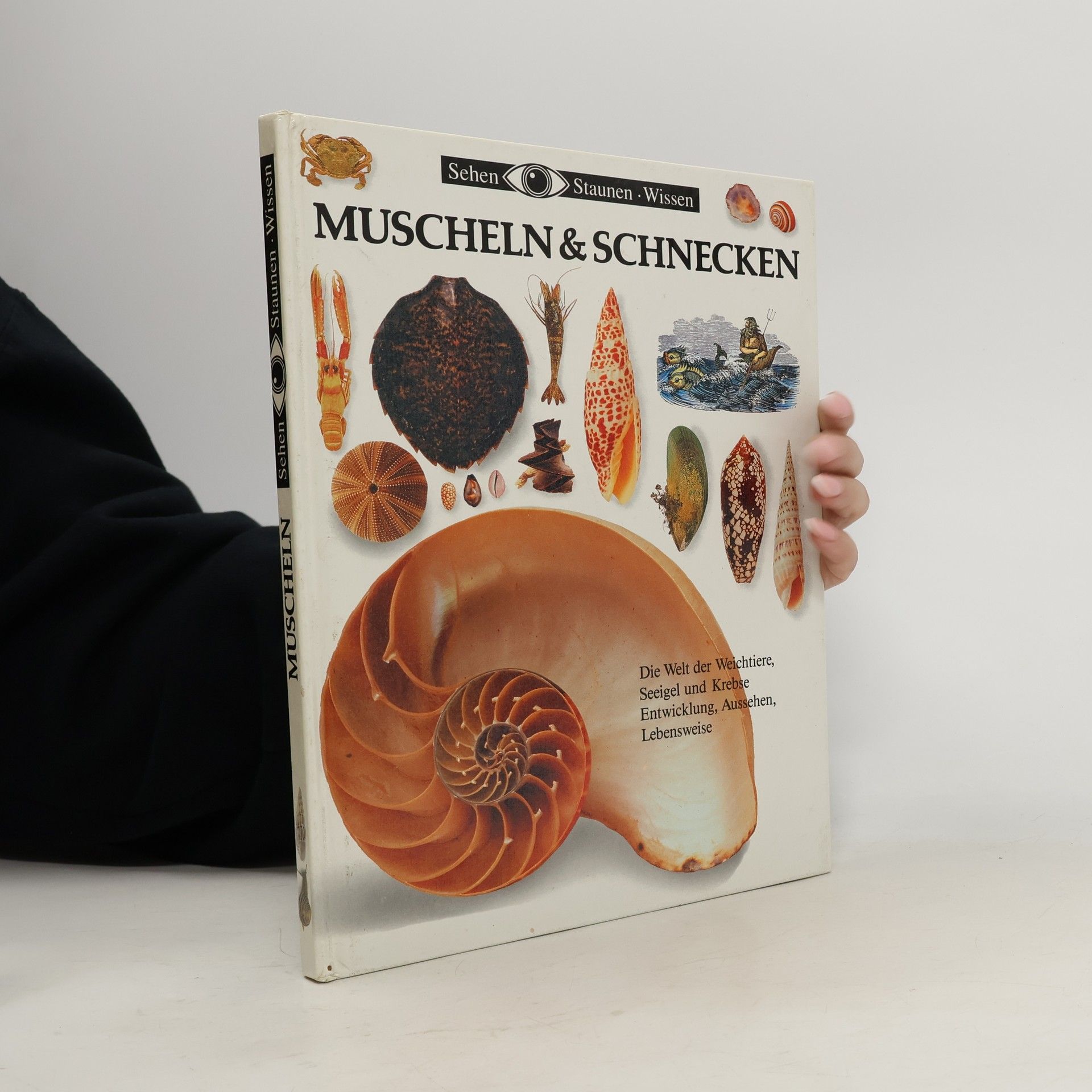 Auteurscollectief Muscheln & Schnecken