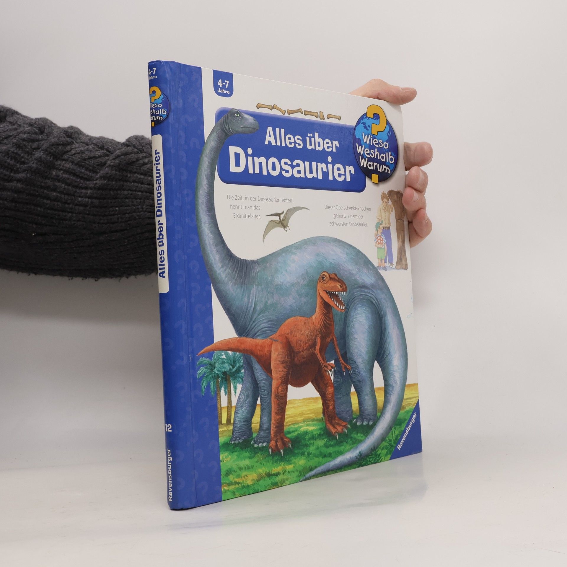Kolektiv autorů Alles über Dinosaurier