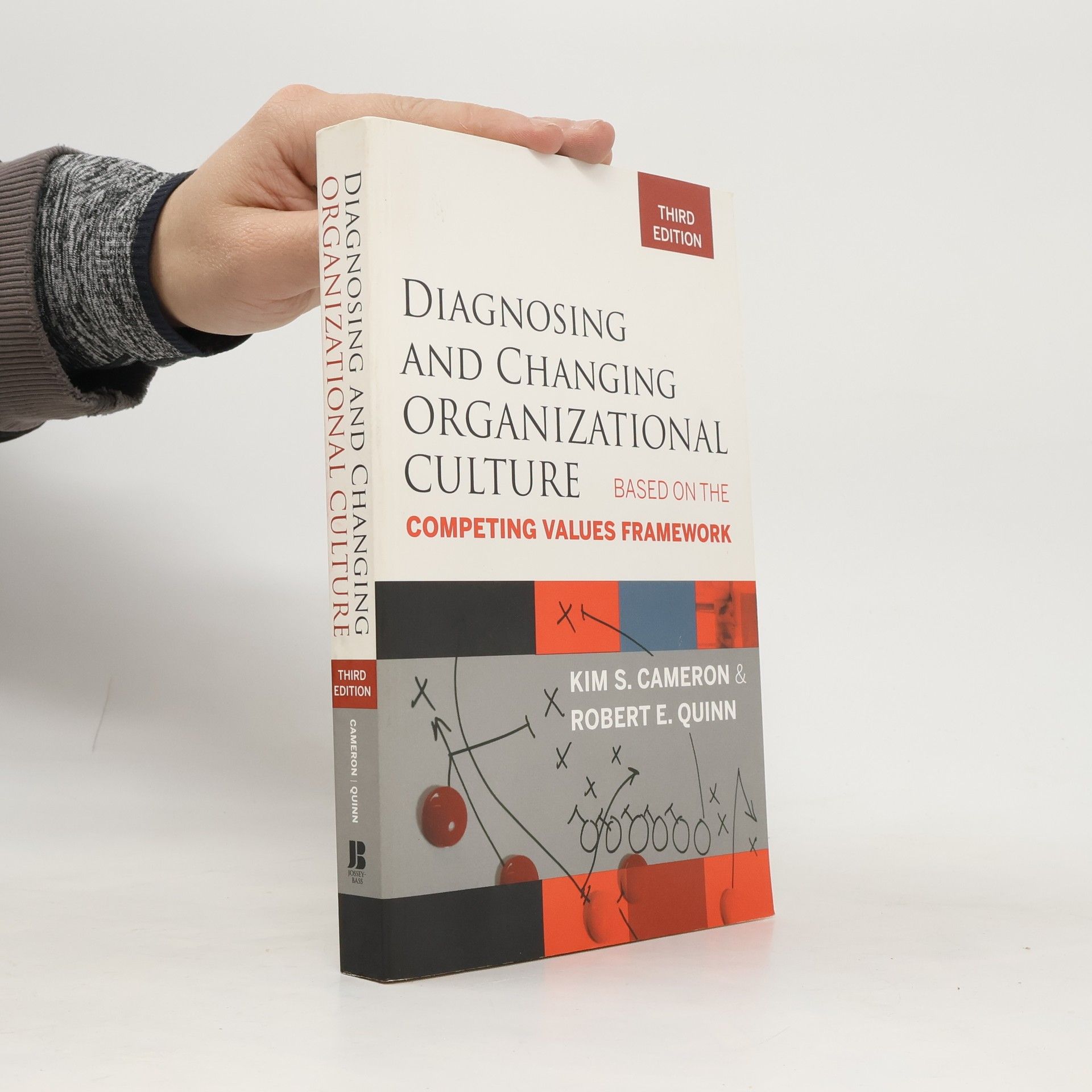 Diagnosing and Changing Organizational Culture