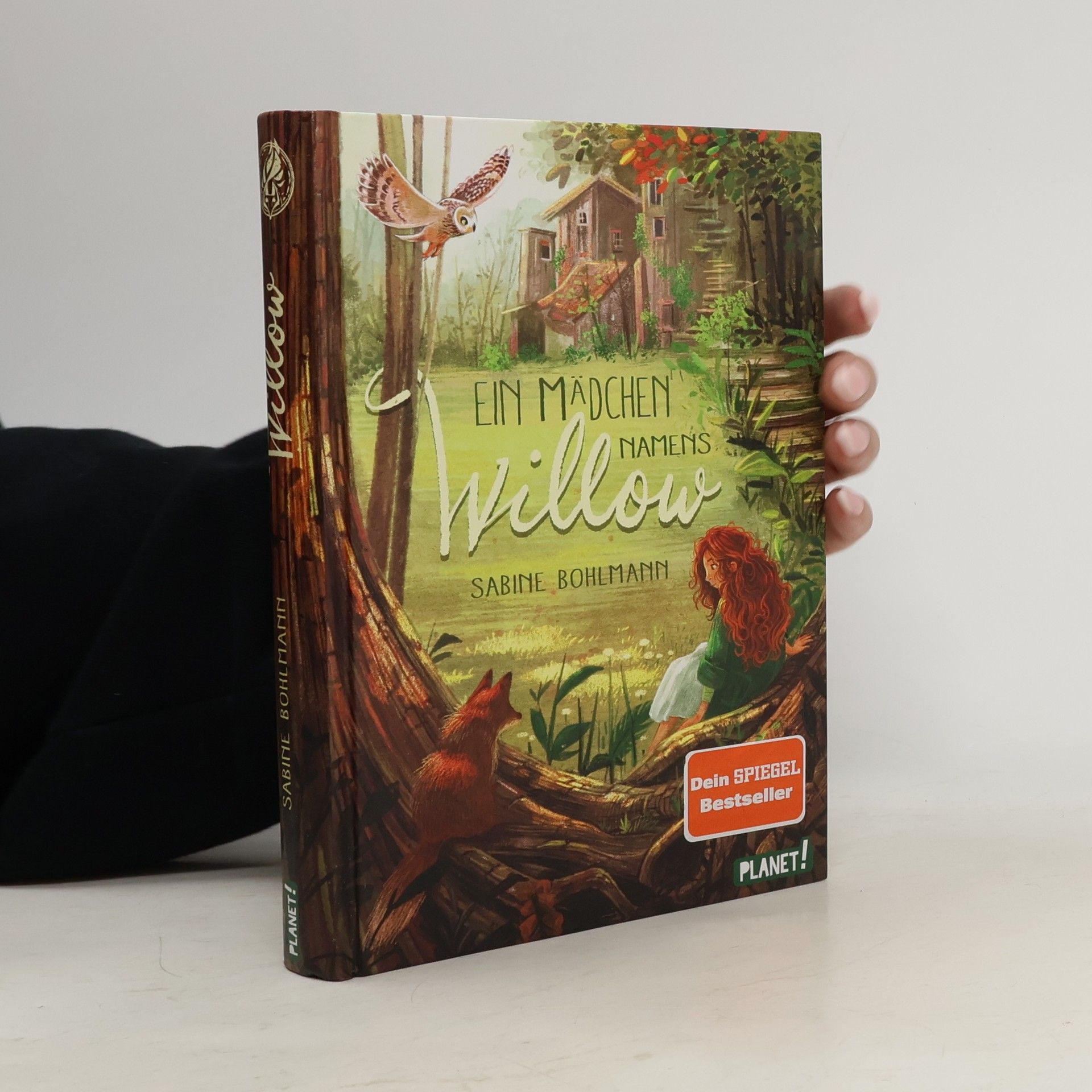 Sabine Bohlmann Ein Mädchen namens Willow