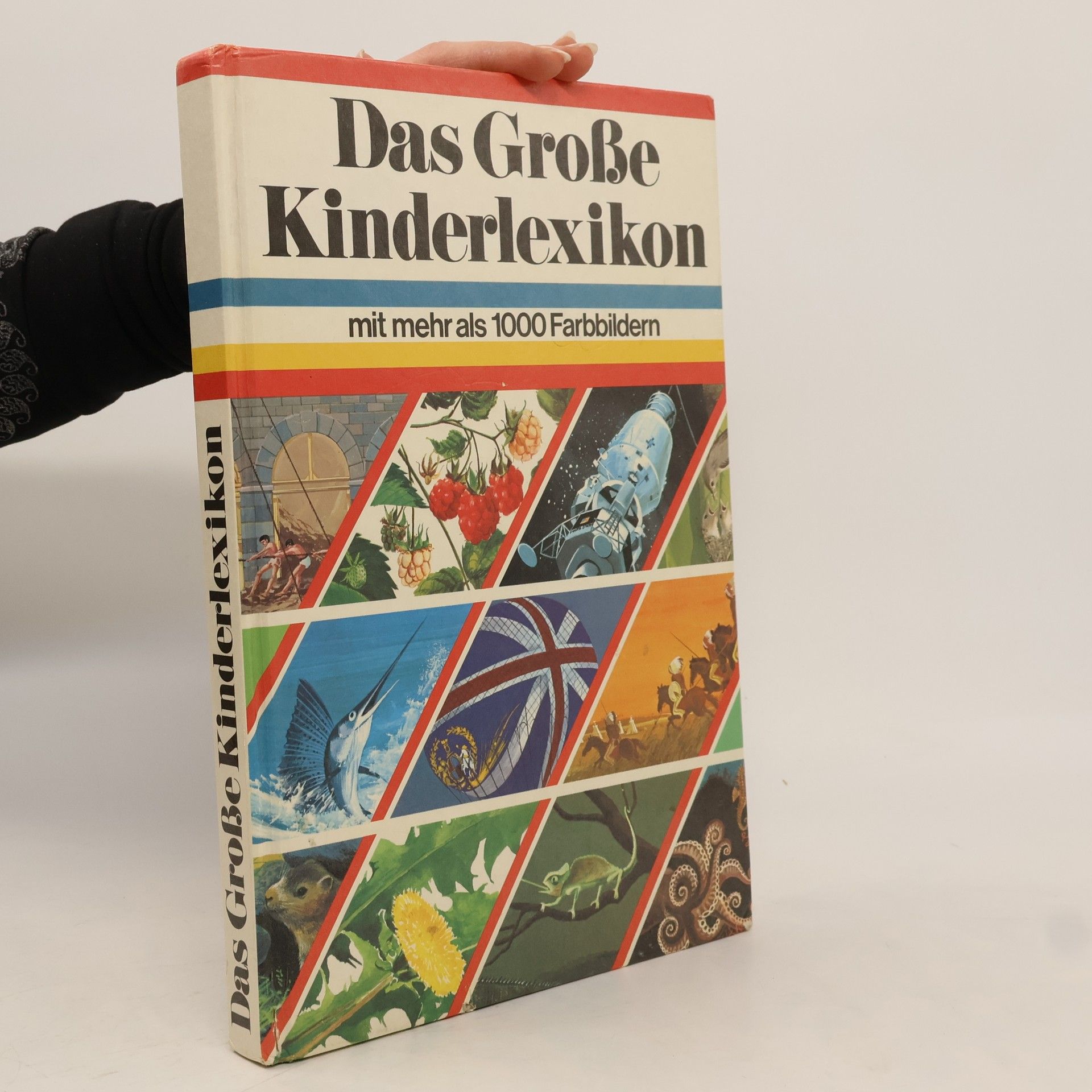 AA.VV. Das Große Kinderlexikon