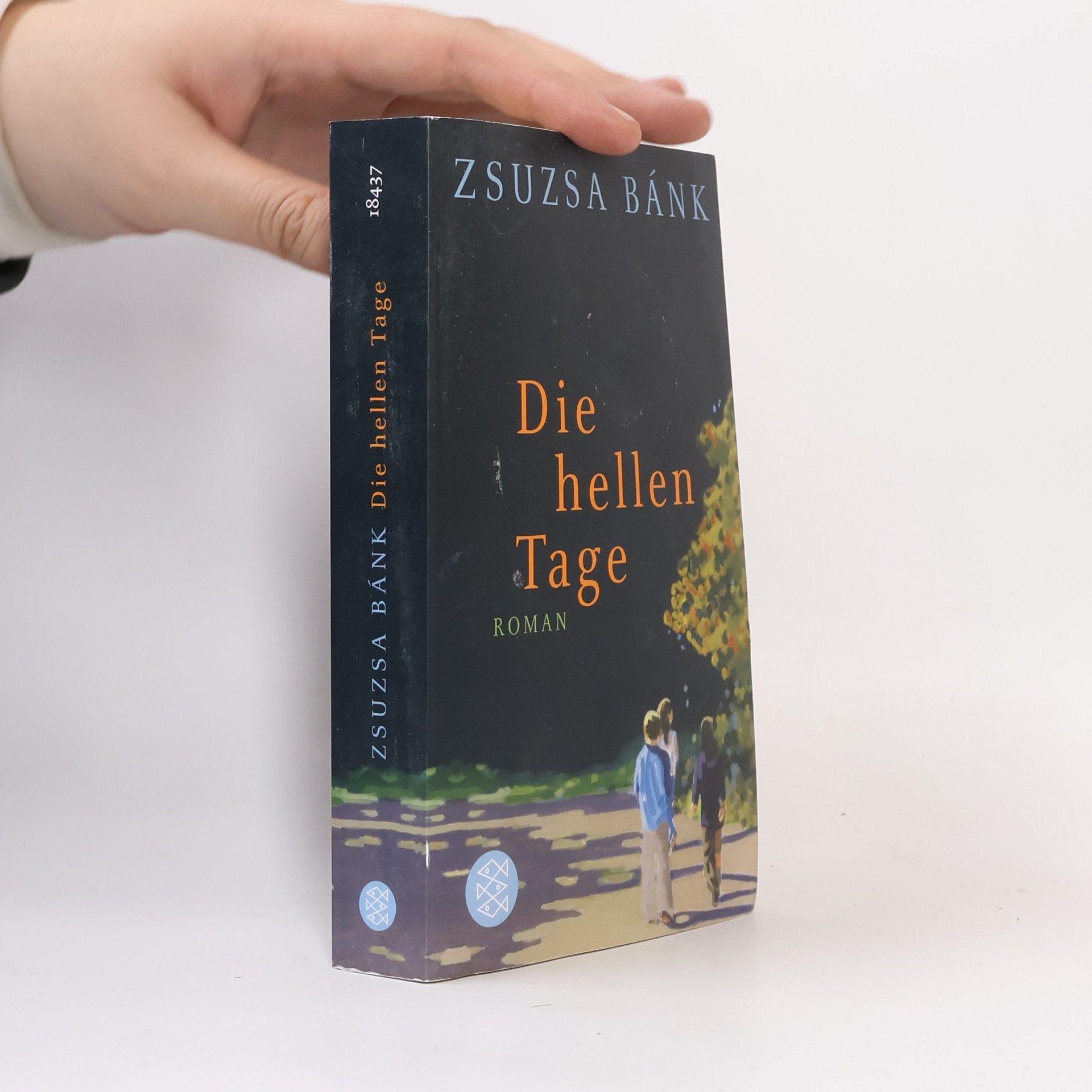 Zsuzsa Bánk Die hellen Tage