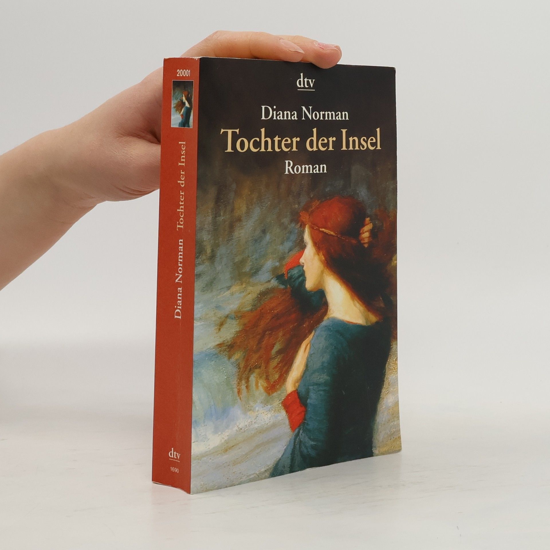 Diana Norman Tochter der Insel