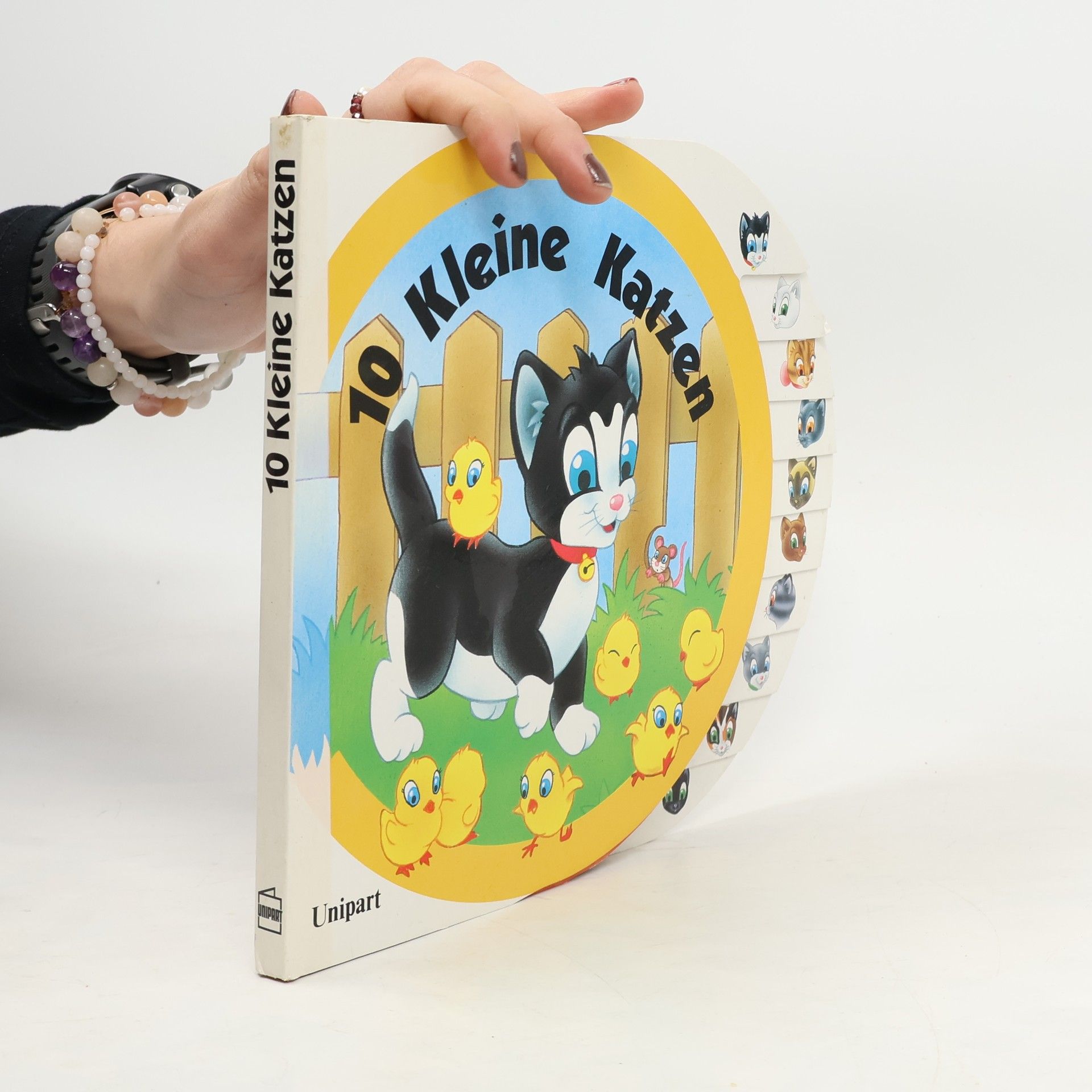 Kolektív autorov Zehn kleine Katzen