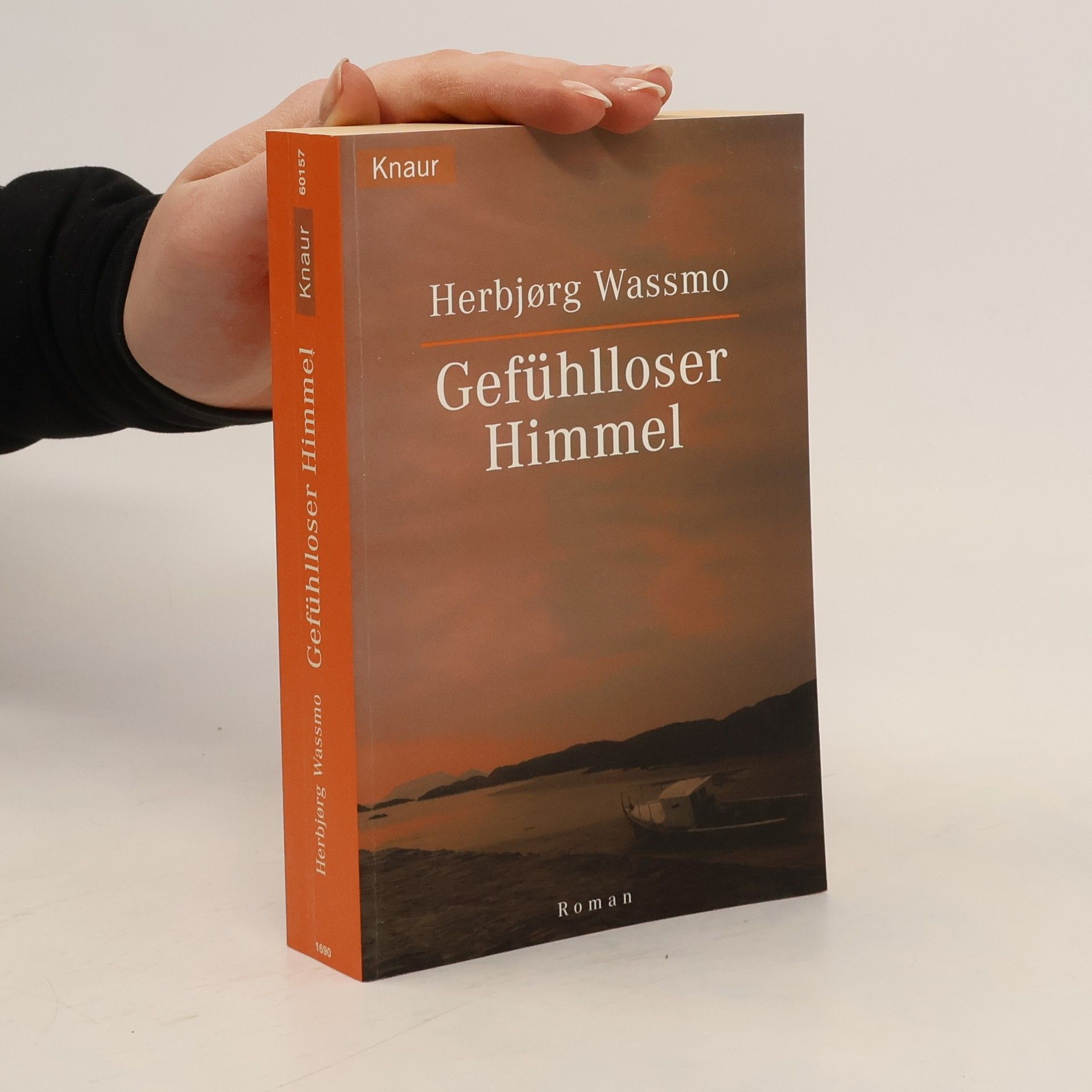 Herbjorg Wassmo Gefühlloser Himmel