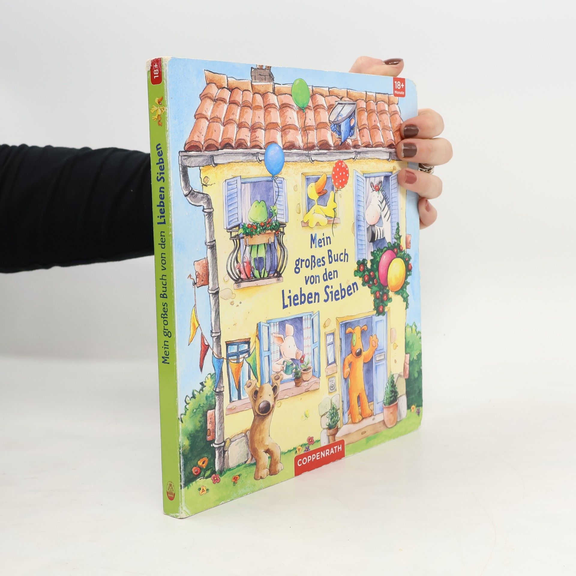 Mein großes Buch von den Lieben Sieben