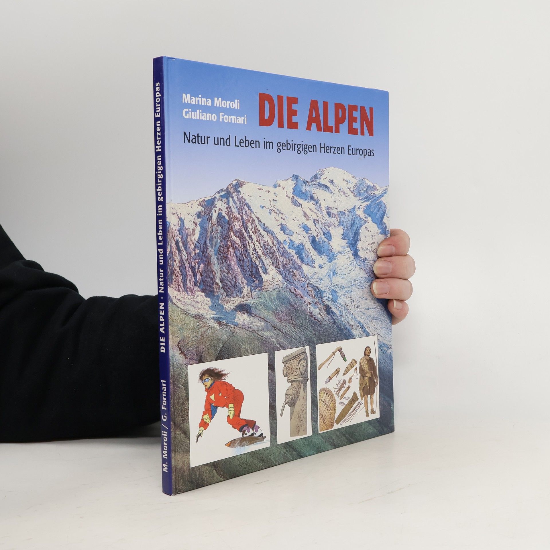 Die Alpen