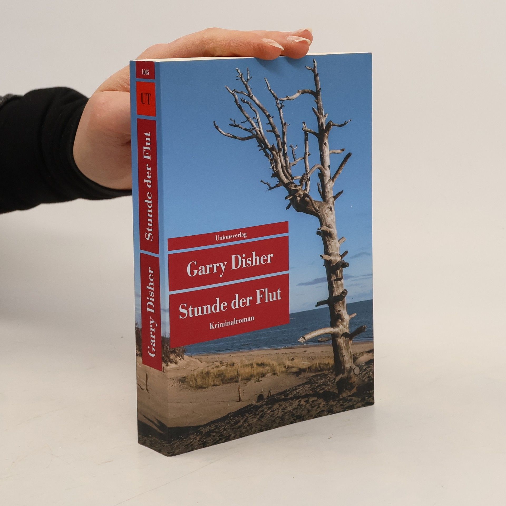 Garry Disher Stunde der Flut
