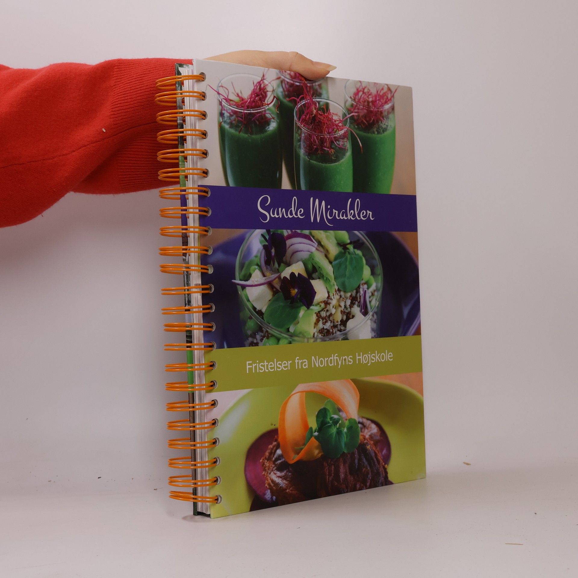 Sanne Birk Mikkelsen Sunde mirakler