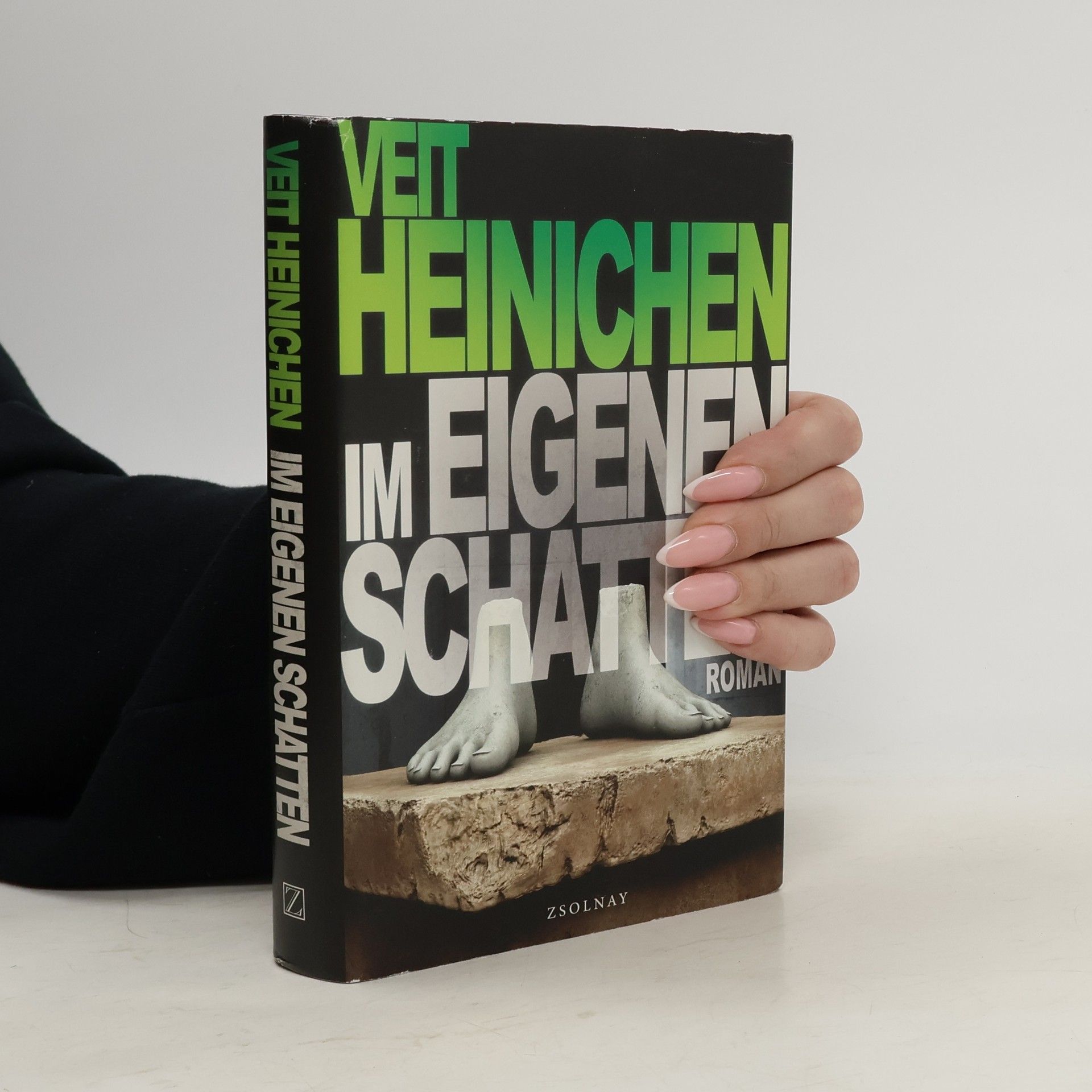 Veit Heinichen Im eigenen Schatten