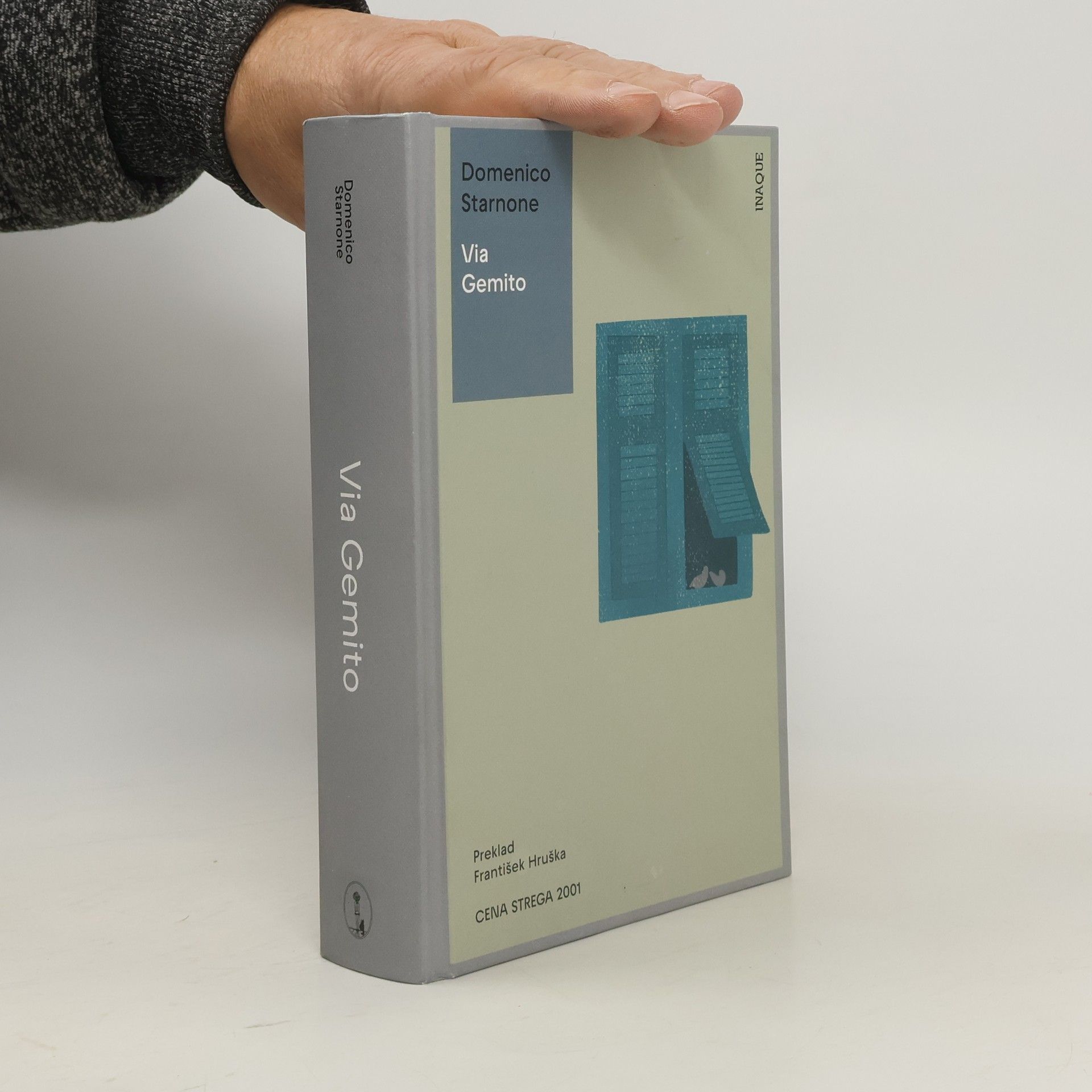 Domenico Starnone Via Gemito