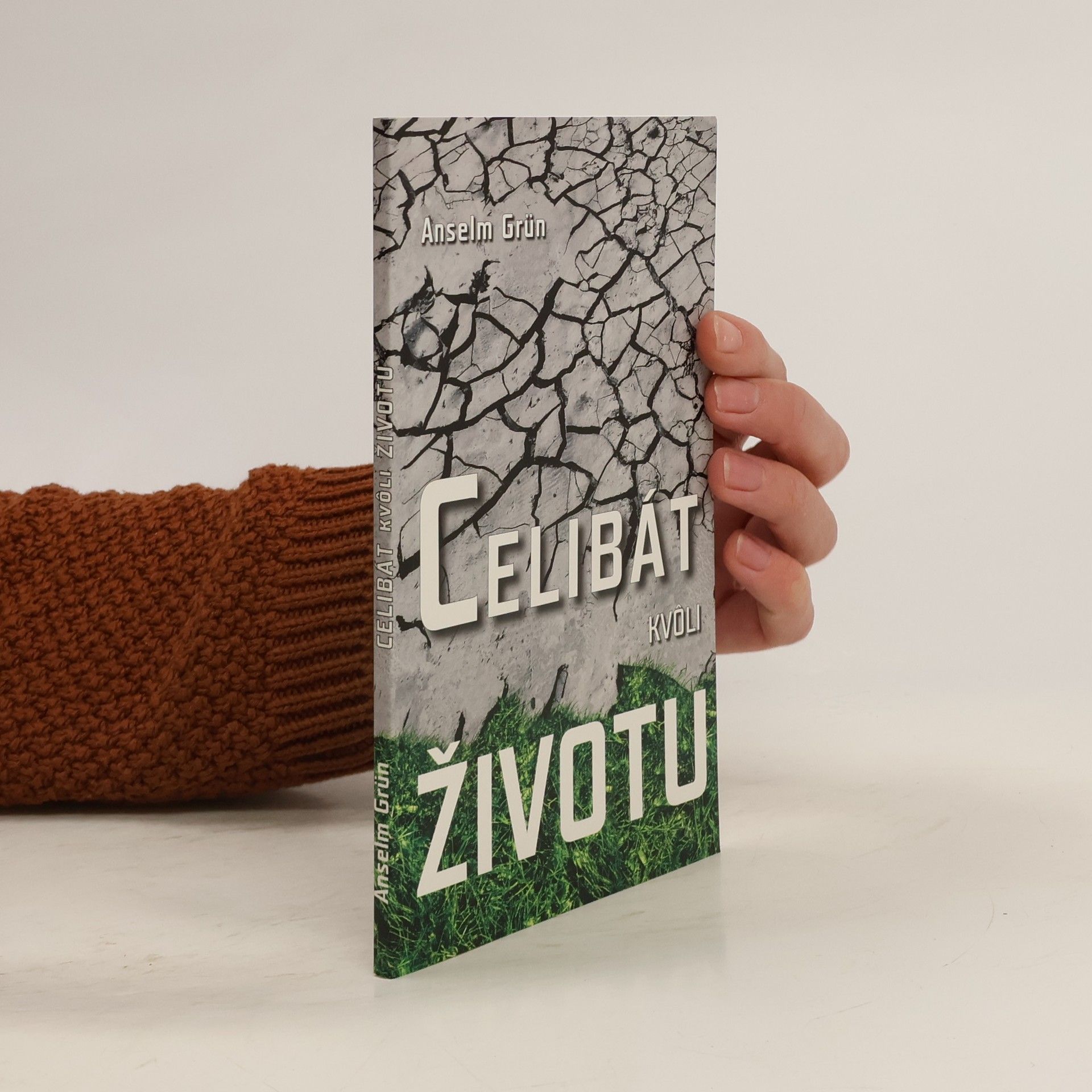 Anselm Grün Celibát kvôli životu