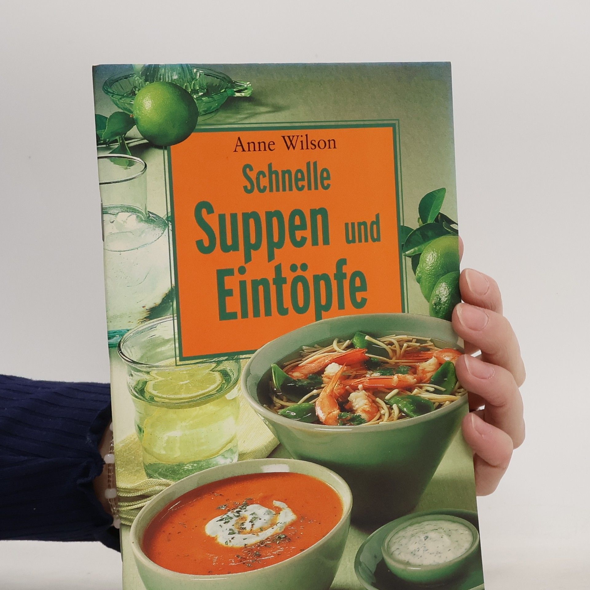 Anne Wilson Schnelle Suppen Und Eintöpfe