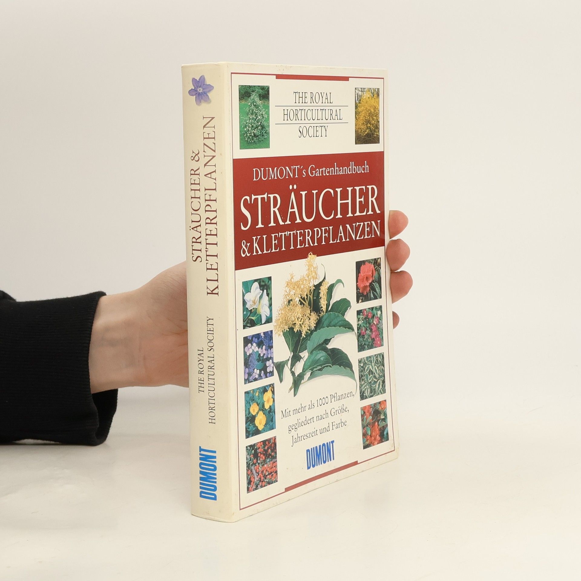 Sträucher und Kletterpflanzen