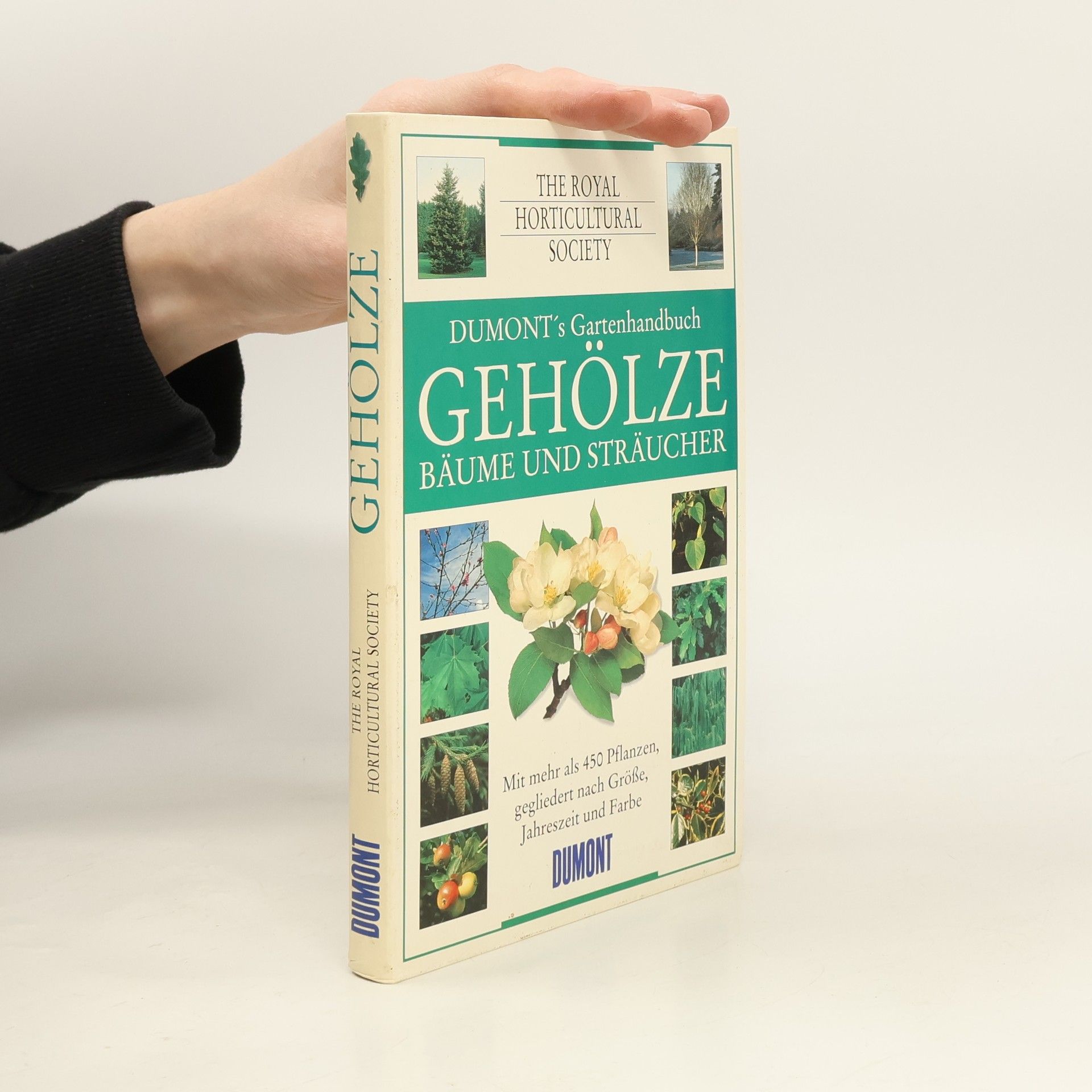 Gehölze, Bäume und Sträucher