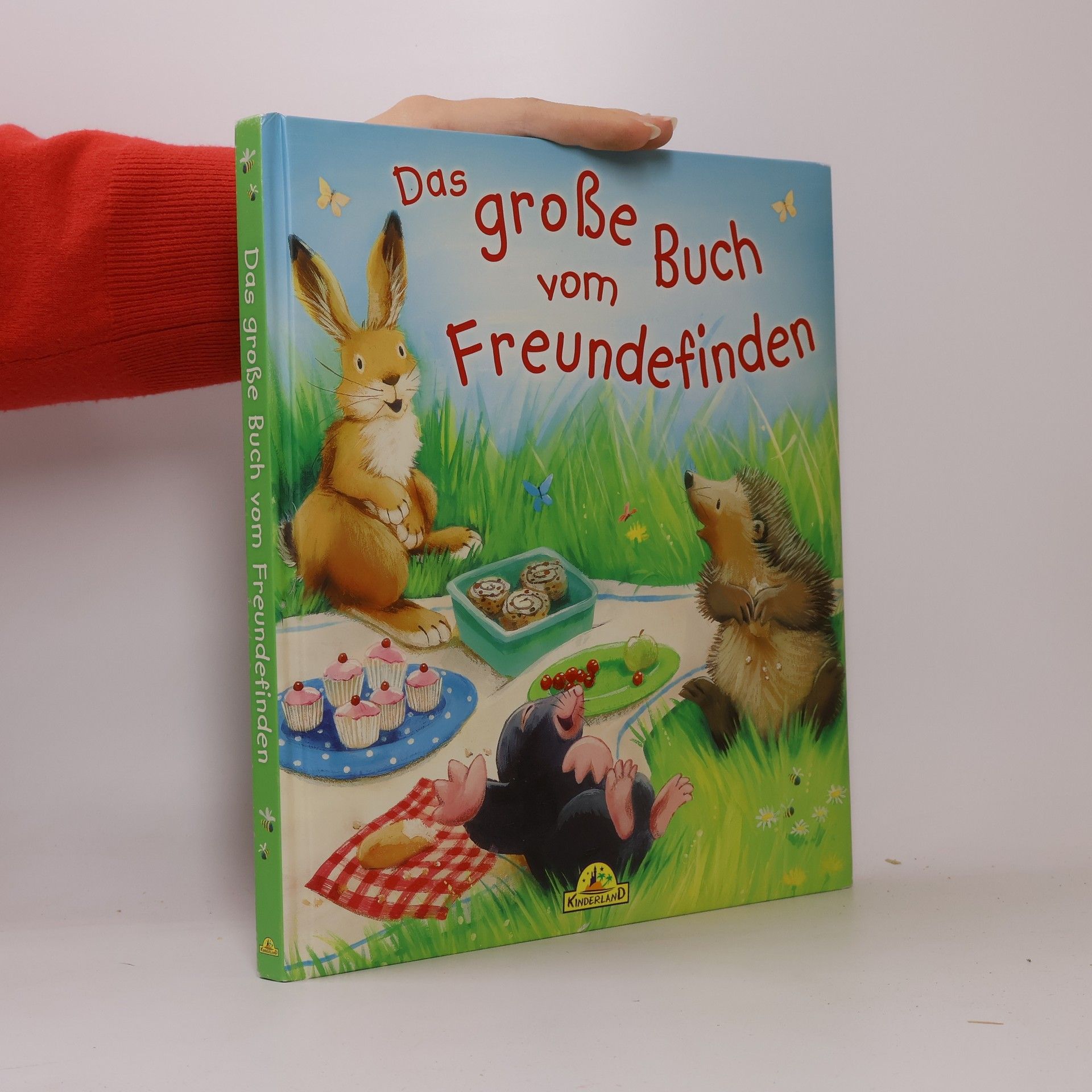 Jane Chapman Das große Buch vom Freundefinden