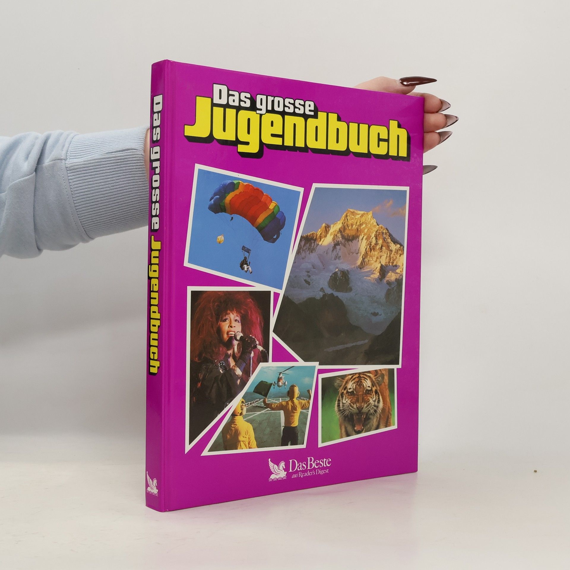 Kolektiv autorů Das große Jugendbuch